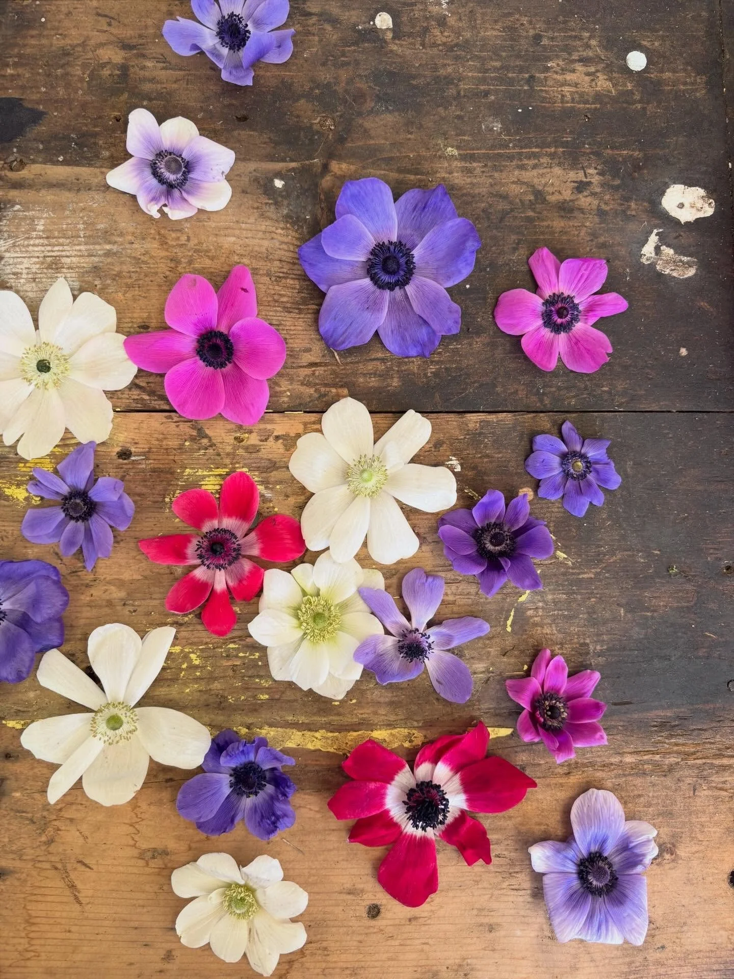 A look back on 2025. 

I came back from a trip around Australia at the end of 2024 &amp; felt like I had to start again from a business perspective. 

Looking at the stats, it may not have been my busiest. But I think it&rsquo;s important to remember