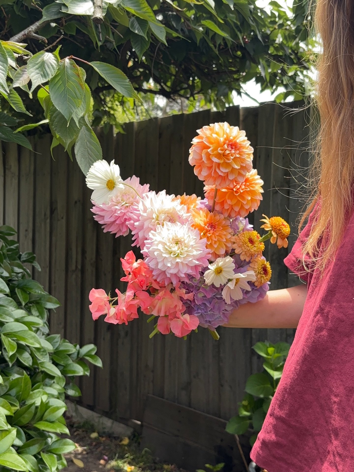 Wedding bouquet &amp; bridesmaid bouquets 💜🧡
Same overall style but each bouquet slightly different.

#melbournewedding #summerblooms #summerwedding #bouquets #weddingbouquets