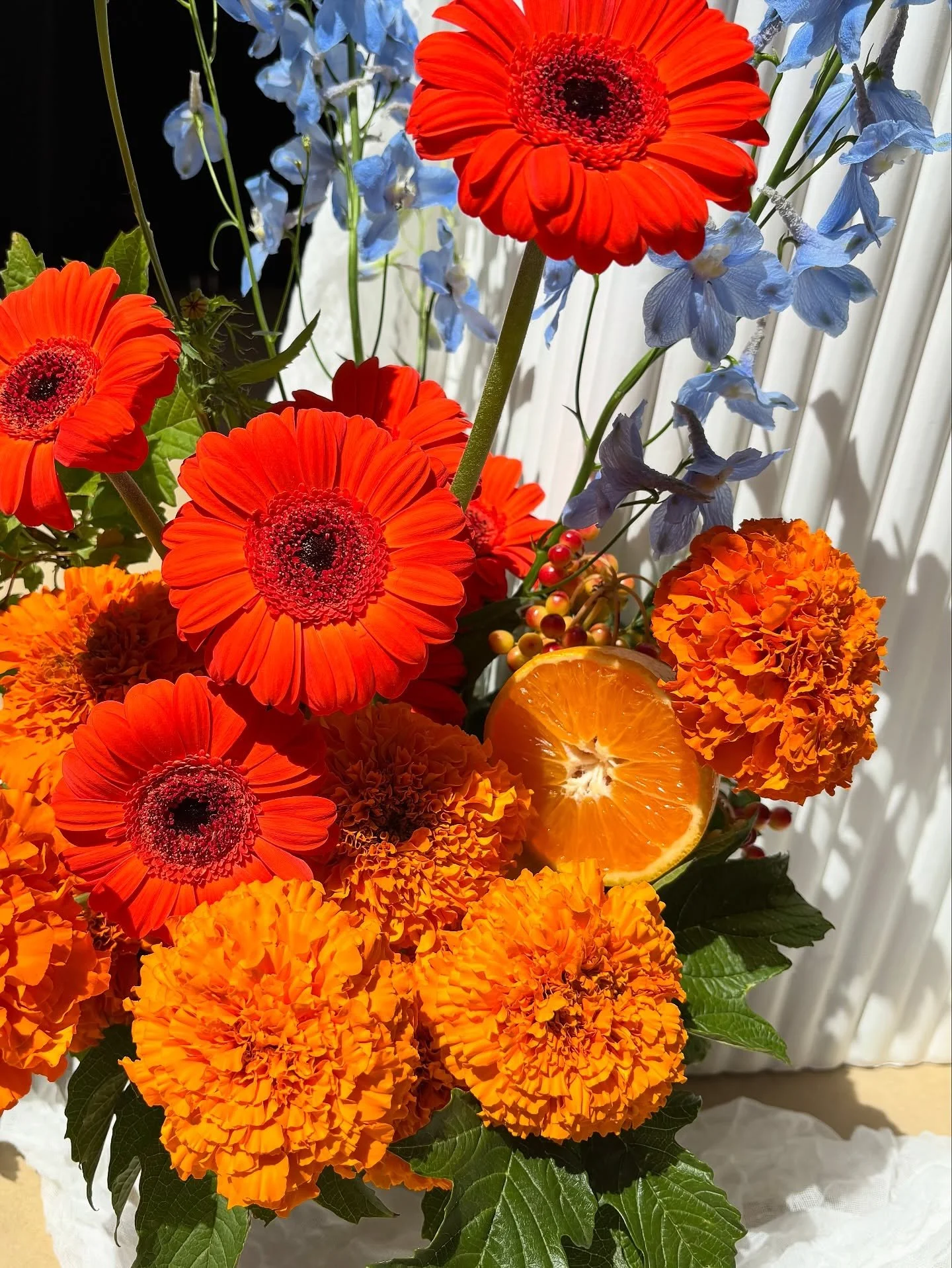 🍊🌼🧡🍋 citrus crush