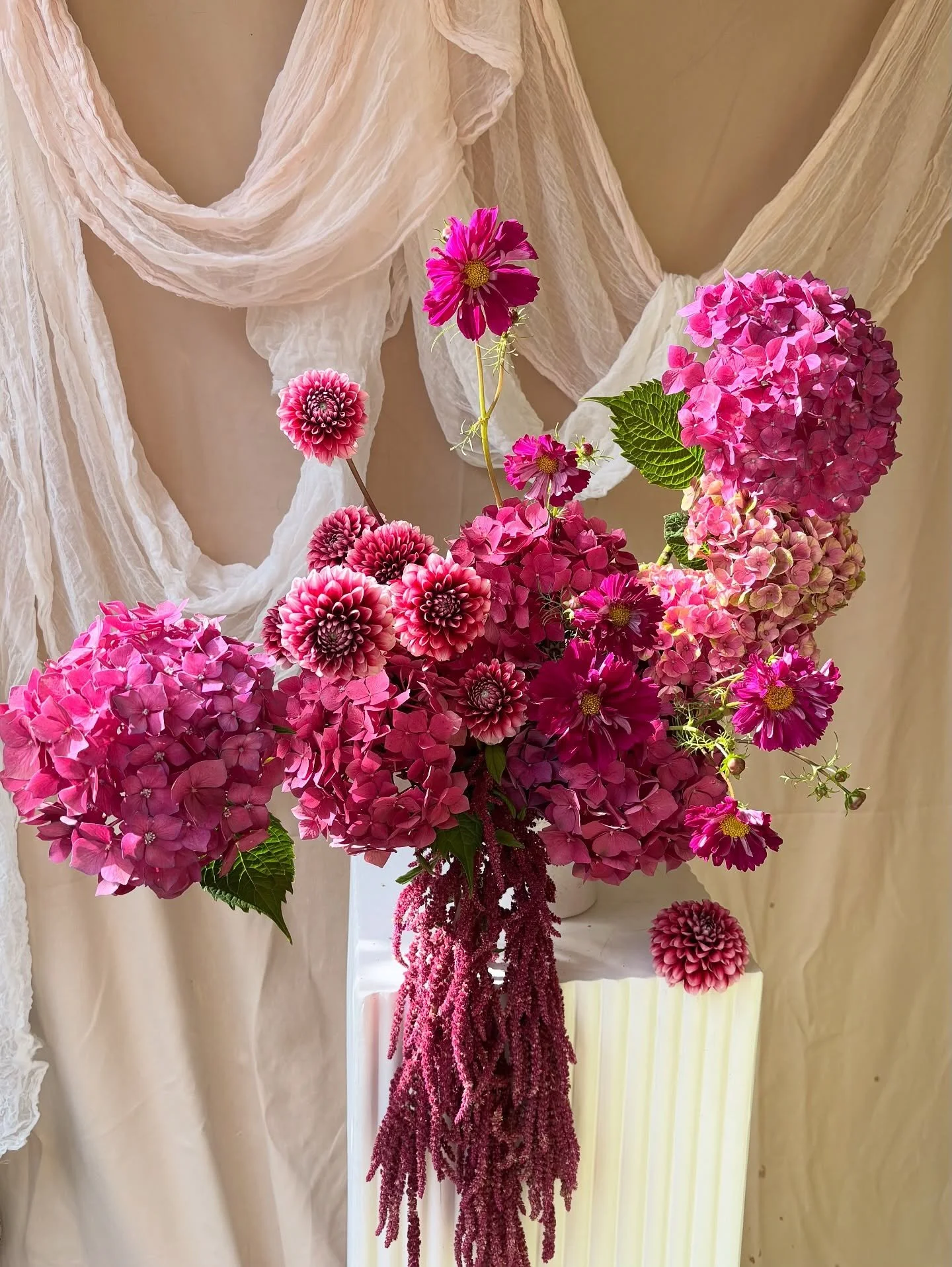 Raspberry tones - forever a favourite 

The perfect statement arrangement for wedding or event, sitting pretty on a mantle, bar or gifting table. 

Gorgeous hydi from @hydifarm 🩷

#summerblooms #statementflowers #weddingflowers
