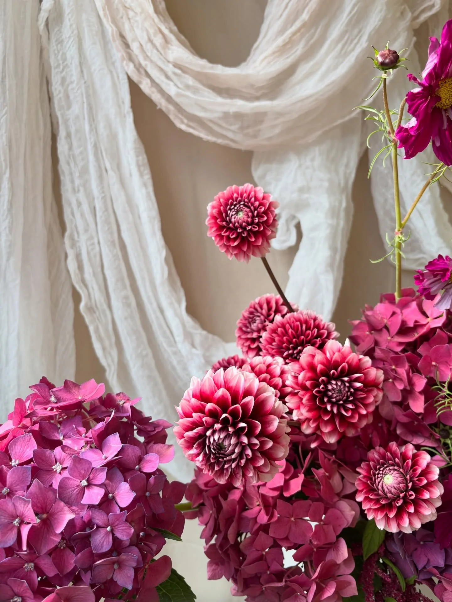 Nothing beats locally grown blooms 🩷💜

#australiangrownflowers #dandenongrangesflorist #yarravalleyflorist #localflowers #foamfree