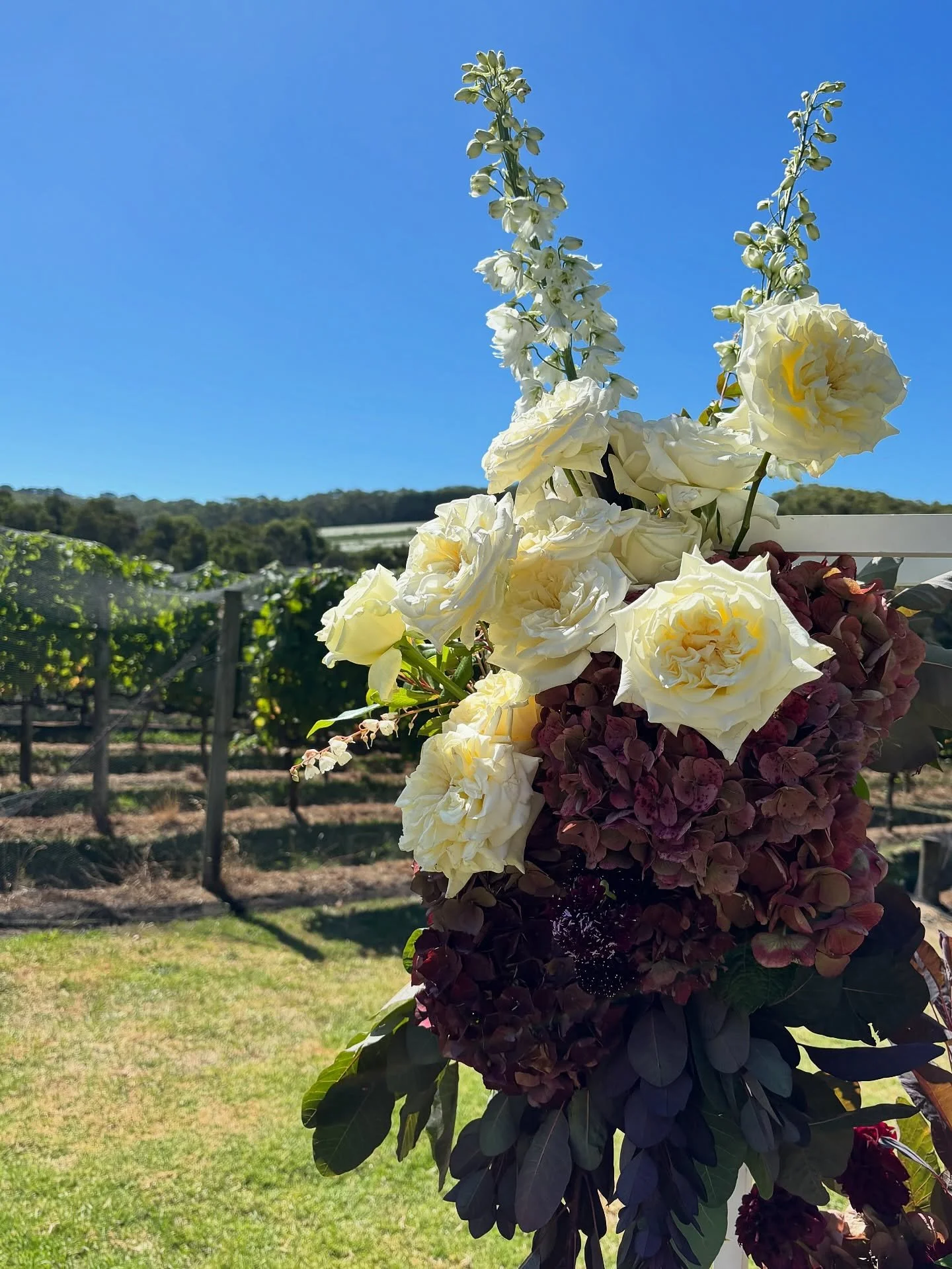A beautiful moment at Montalto 🌹