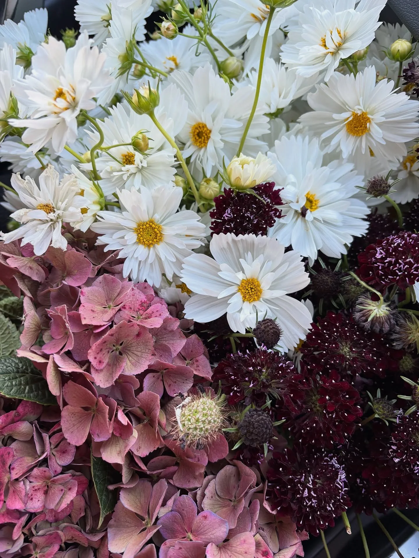A gorgeous palette for Gen &amp; Mike&rsquo;s February wedding.

Whilst the couple opted for whites &amp; creams for their personal flowers, we incorporated burgundy blooms into the ceremony flowers for a pop of colour. What a beautiful summer&rsquo;