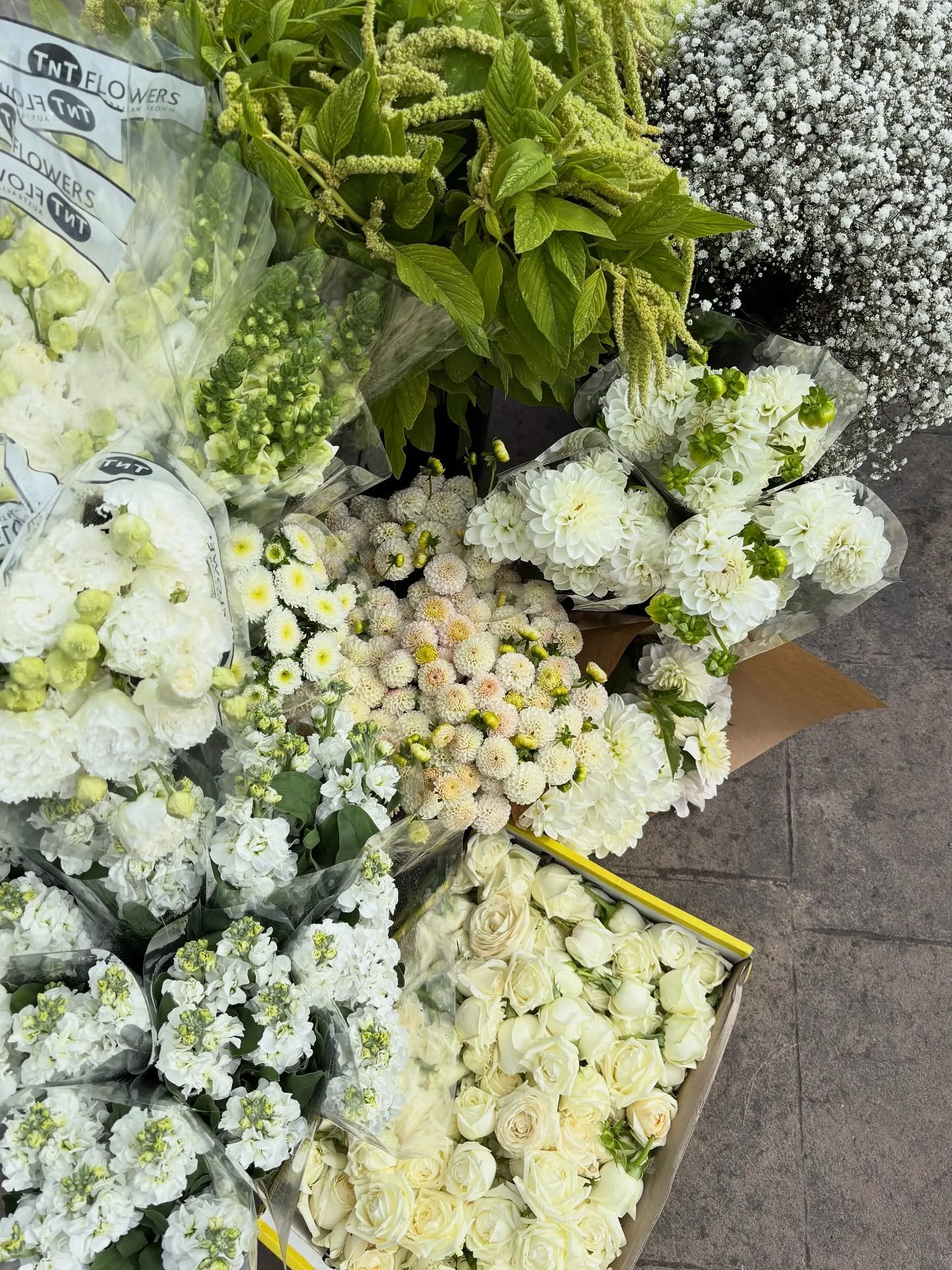 After months of planning, once those flowers are in my hands, the real magic can begin ✨