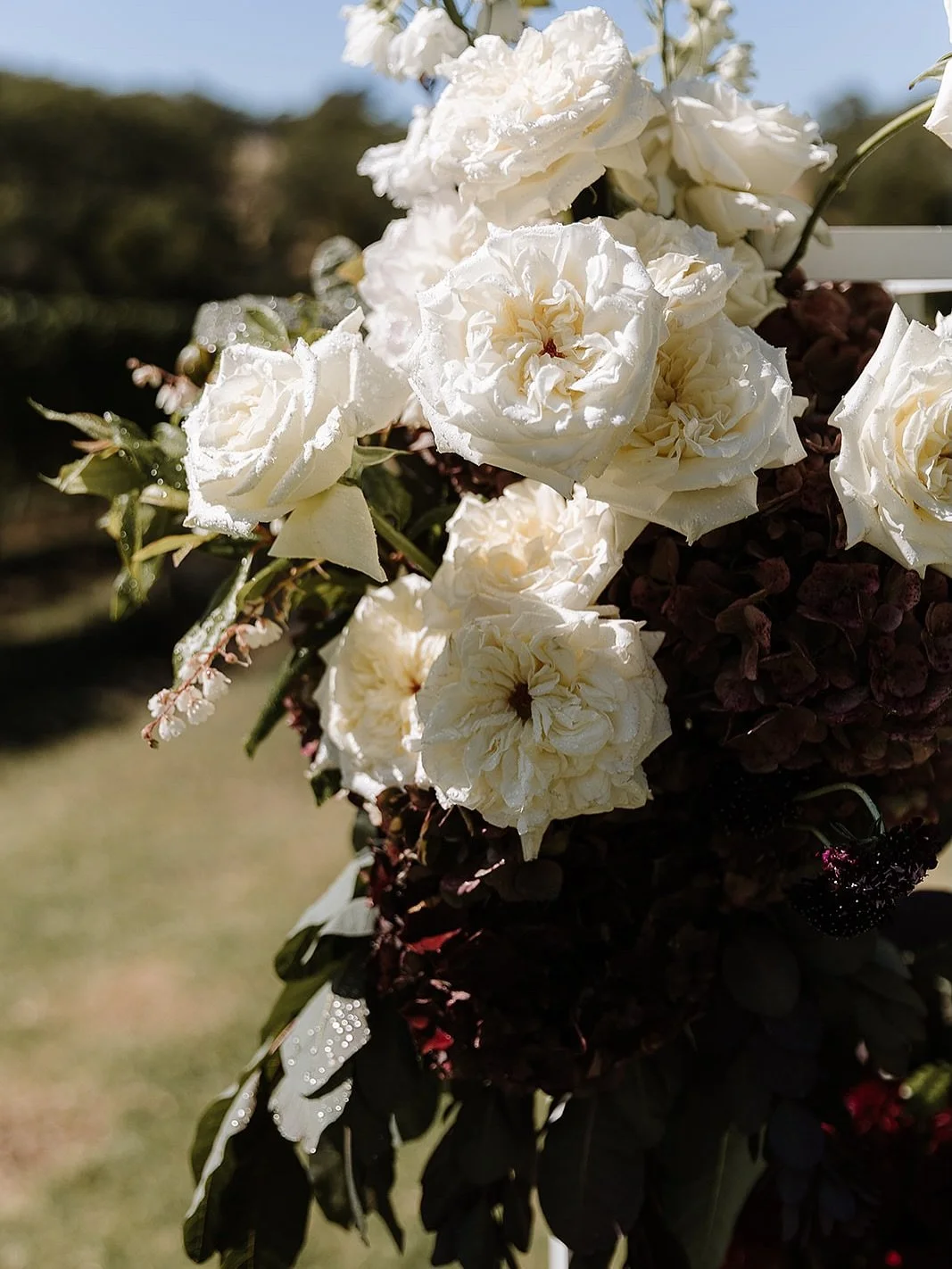 Spritzed these blooms likely crazy in the summer heat (maybe too much!!) 🌹

Photography by @tessfollett 
Venue @montaltovineyard