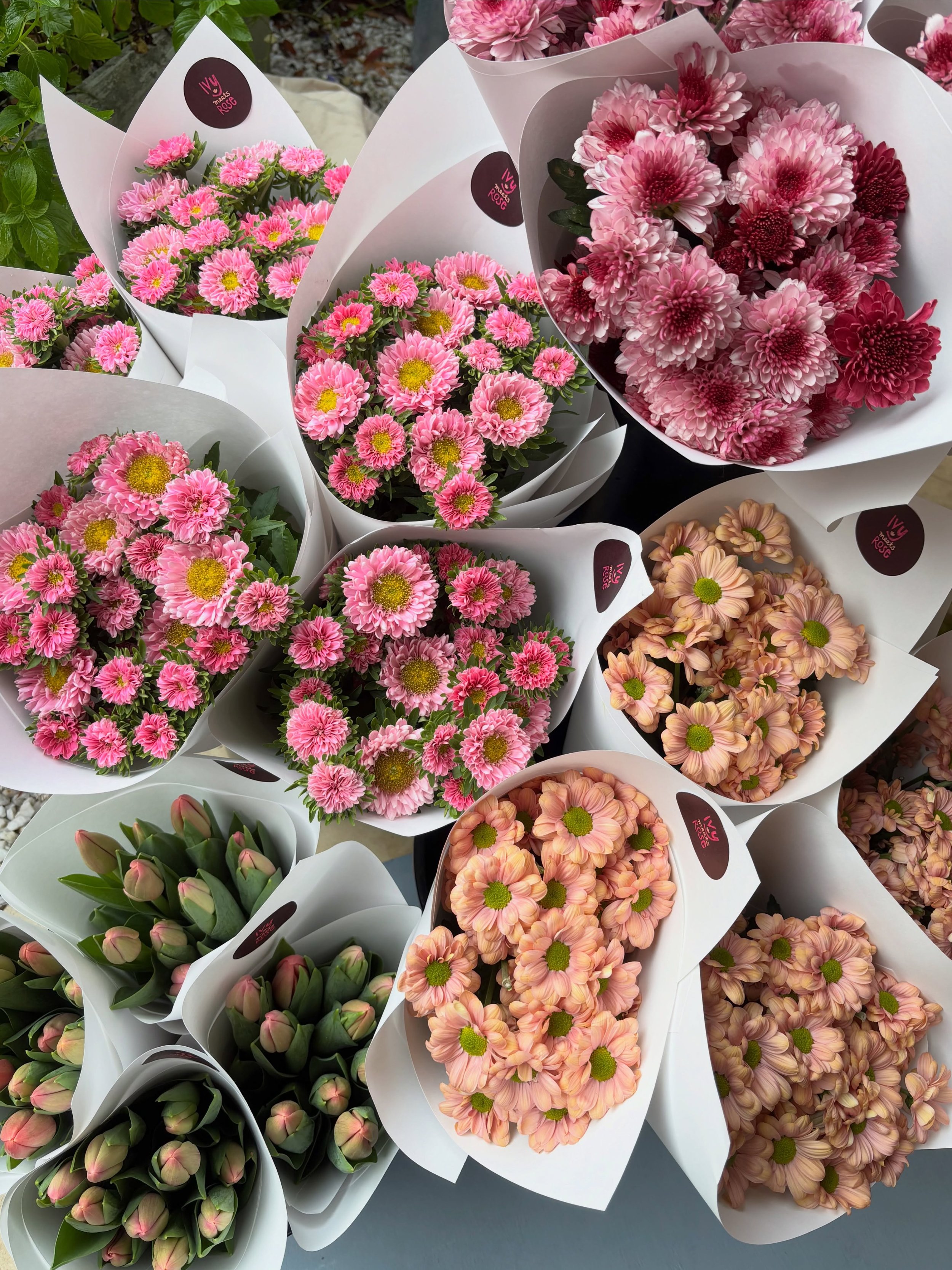 Chrysie, asters or tulips. 
Which one are you choosing?🌷