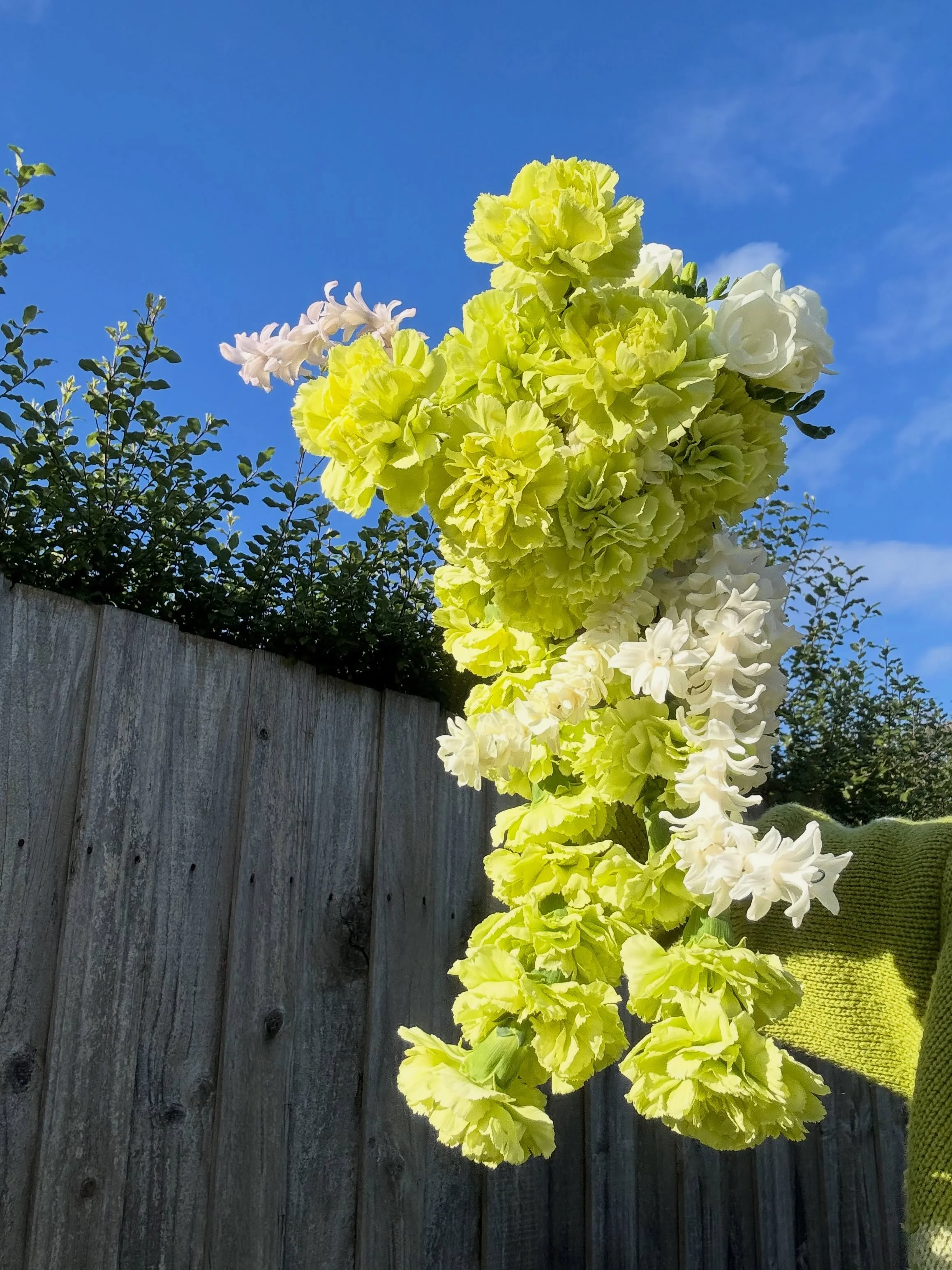 Winter wedding flowers - Part 1 - EMBRACE THE BULBS 🪻

Driving around the streets of Melbourne, you&rsquo;ll start to see bulbs poking through the landscapes. When the daffodils have started, I can&rsquo;t help but feel more cheerful. Whilst they&rs