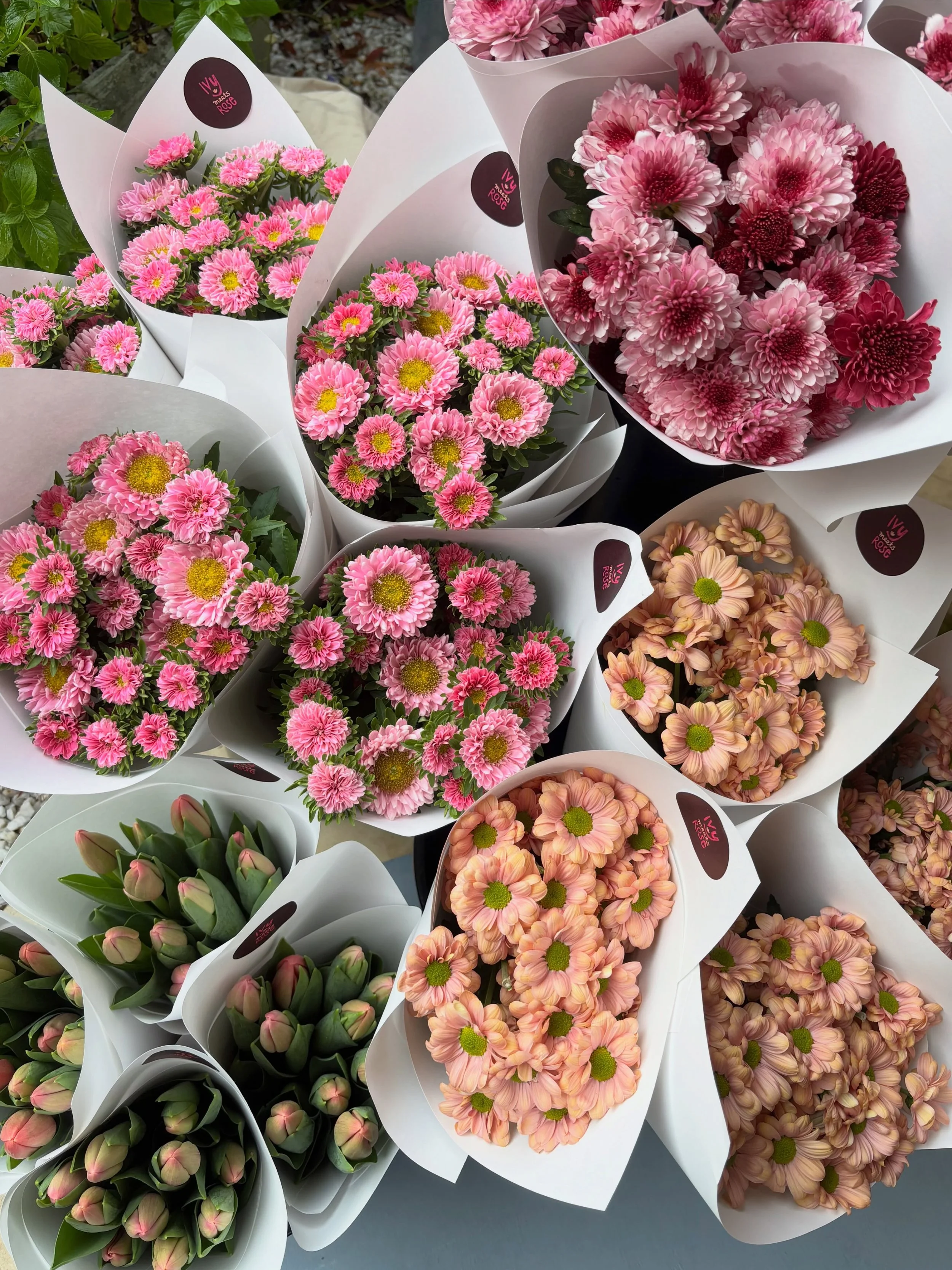 Chrysie, asters or tulips. 
Which one are you choosing?🌷