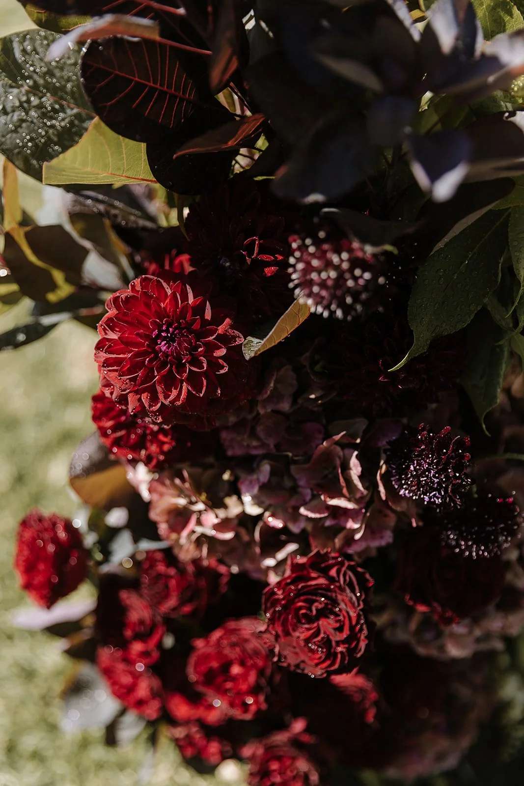 Photography by Tess Follett