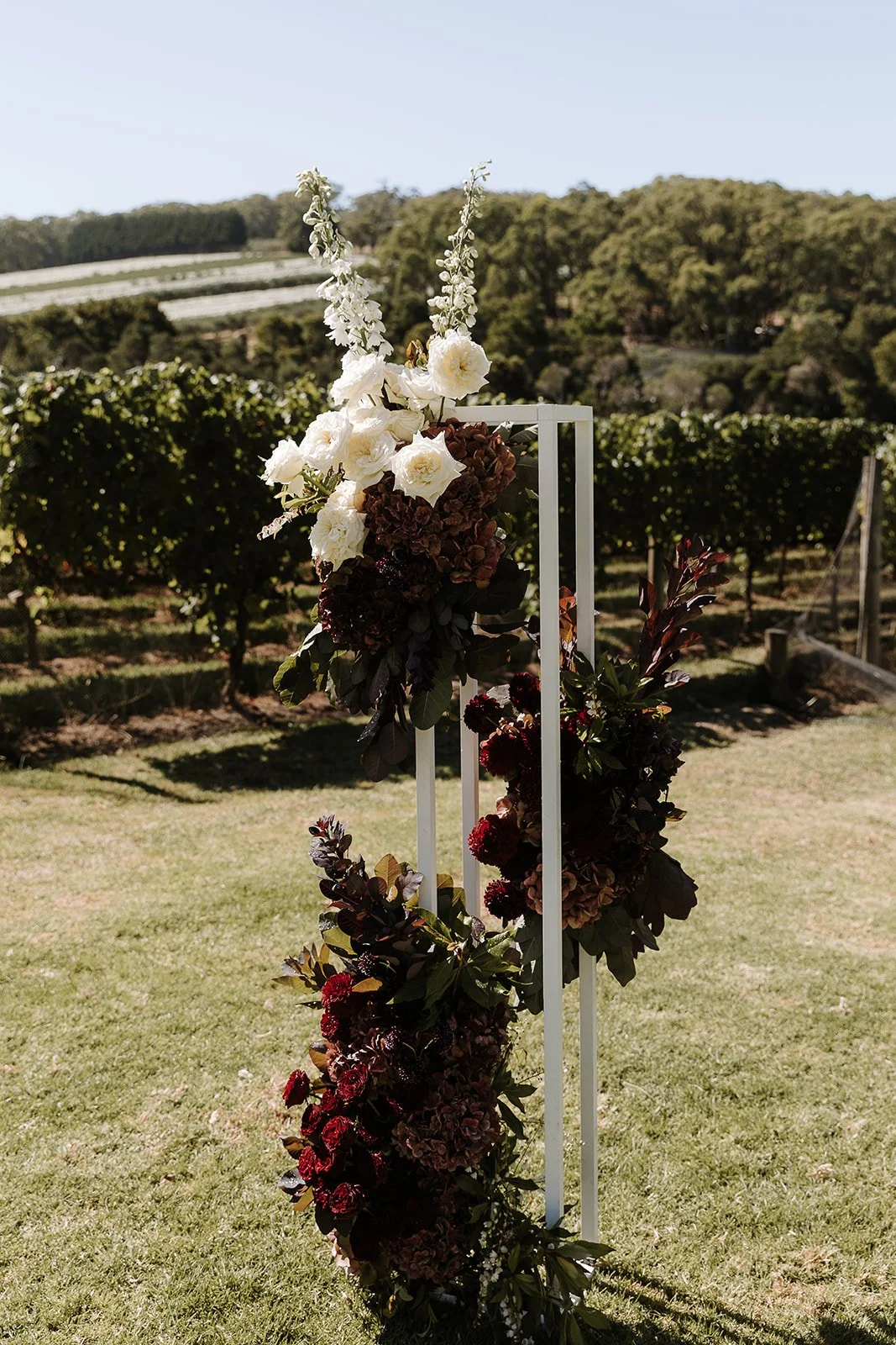Photography by Tess Follett