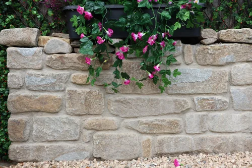 Textured natural stone garden wall beneath flowering plants