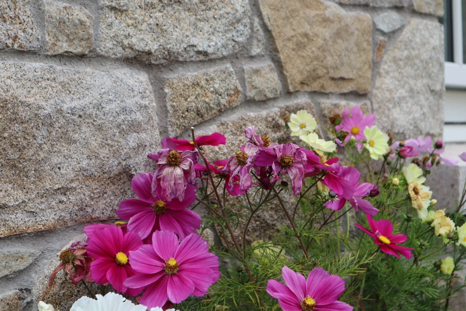 Brown Graniet Building stone 