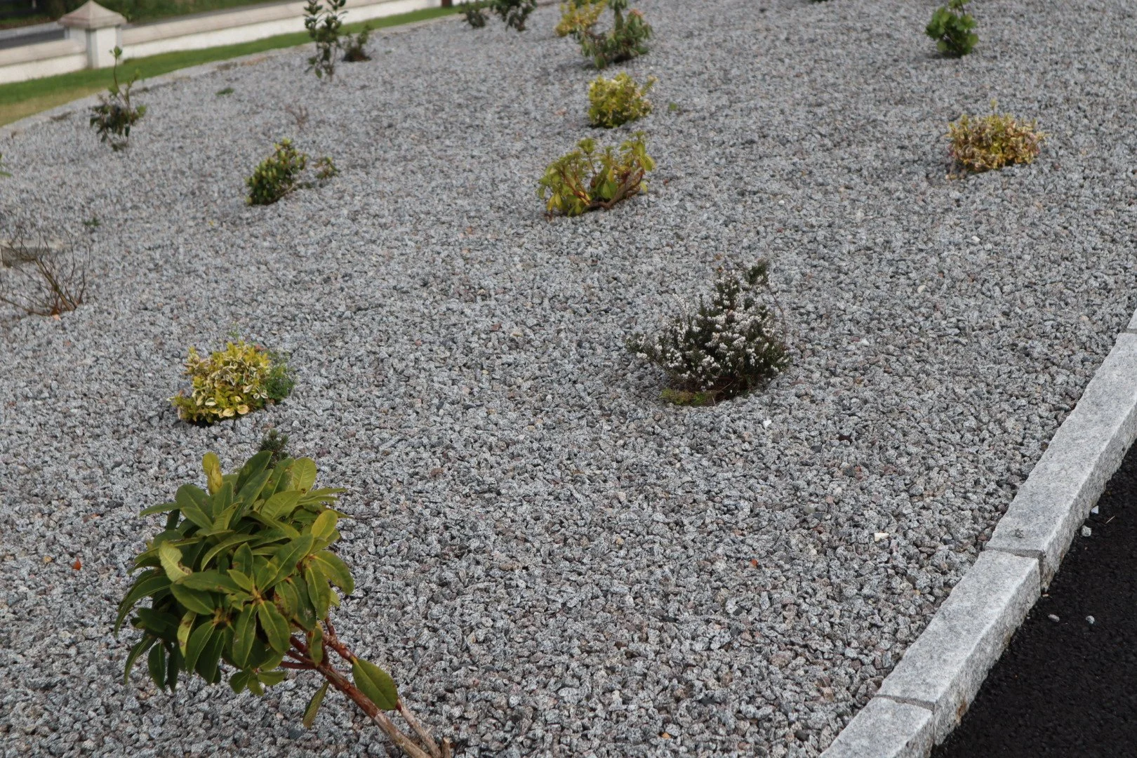 natural-stone-chippings-ireland.JPG