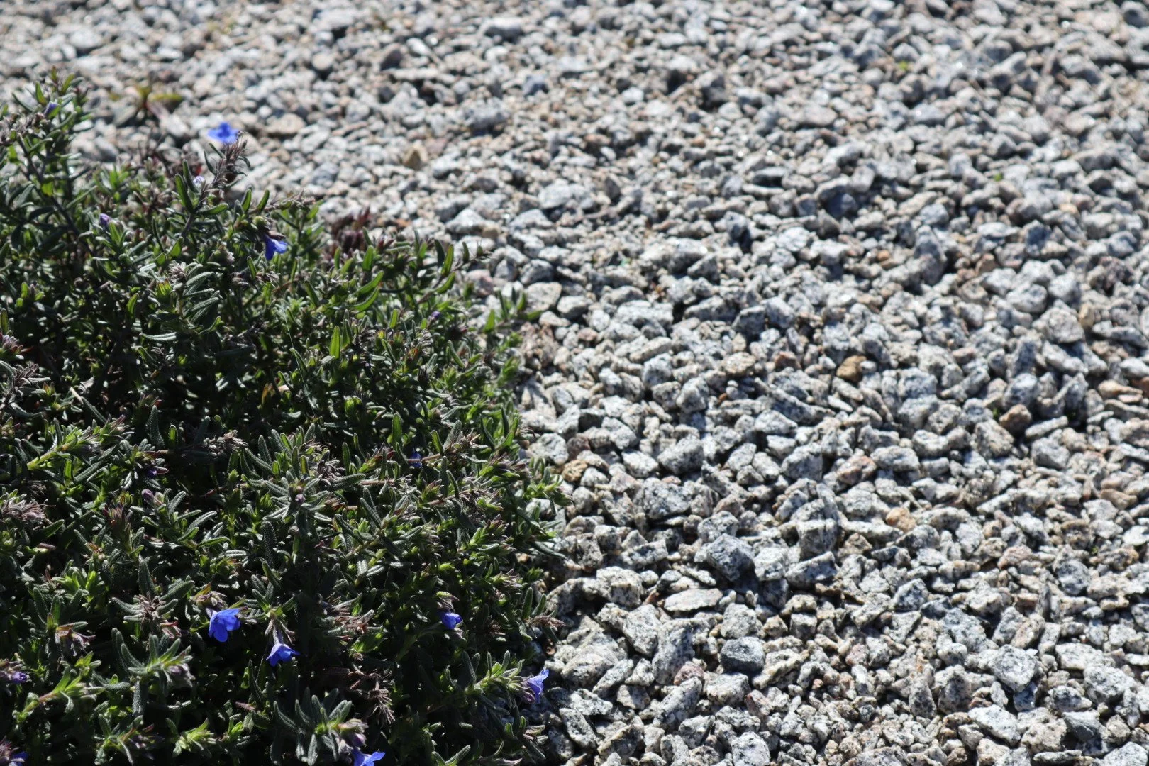 decorative-landscaping-natural-stone.JPG