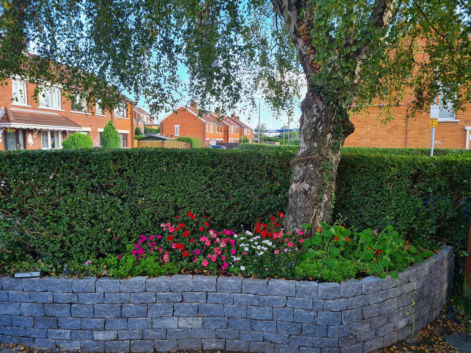 Image of Garden wall.jpeg