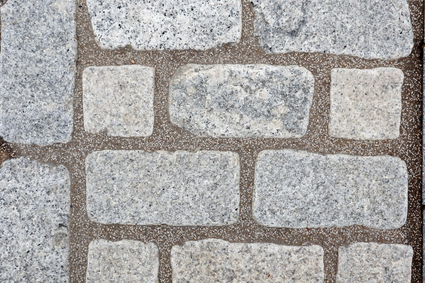 Image of a Grey Granite Tumbled Cobble laid in a pathway 