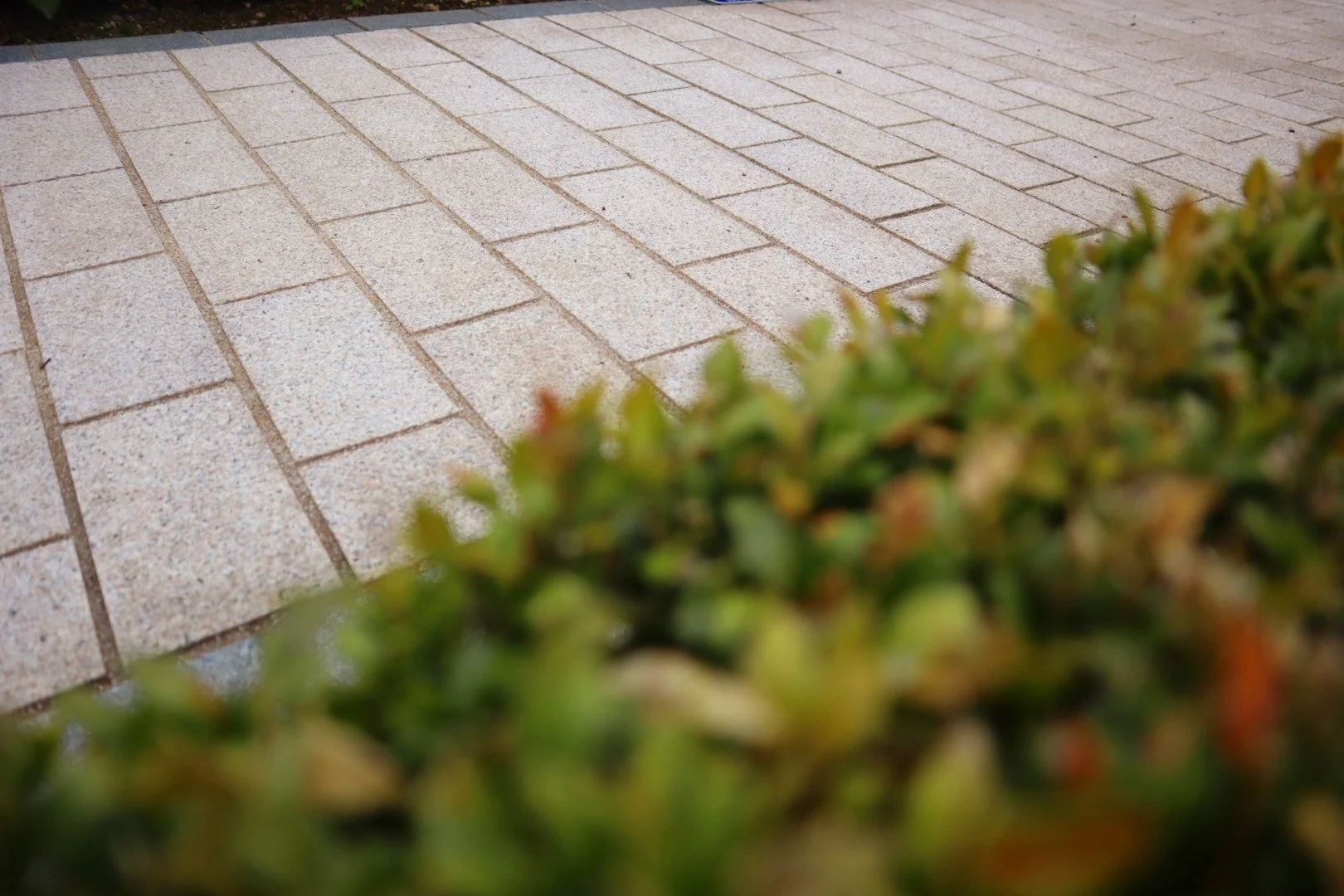 Image of a Grey Granite Straight cut cobble on a pathway in Newry