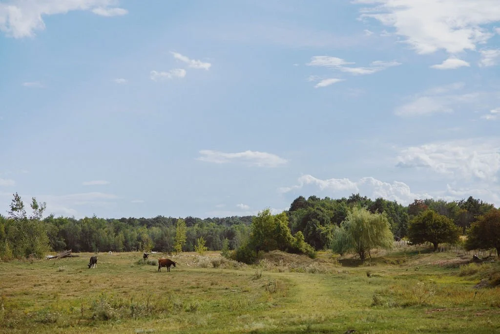 rural Quebec farmhouse pasture views