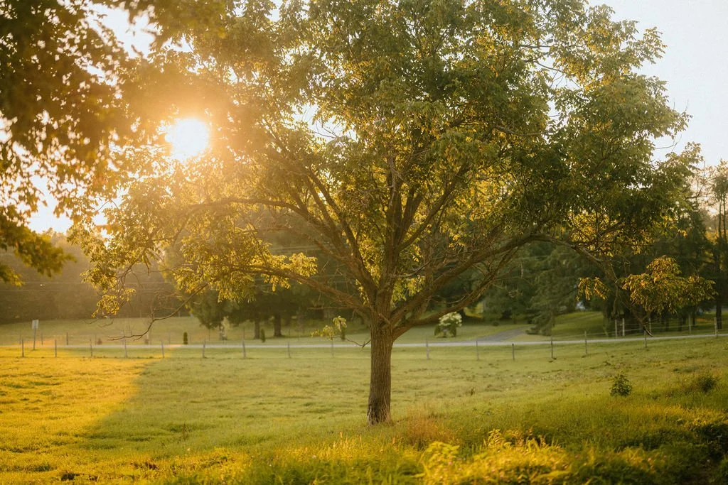 Fall Prep for Your Next Renovation: Inspiration & Planning Tips