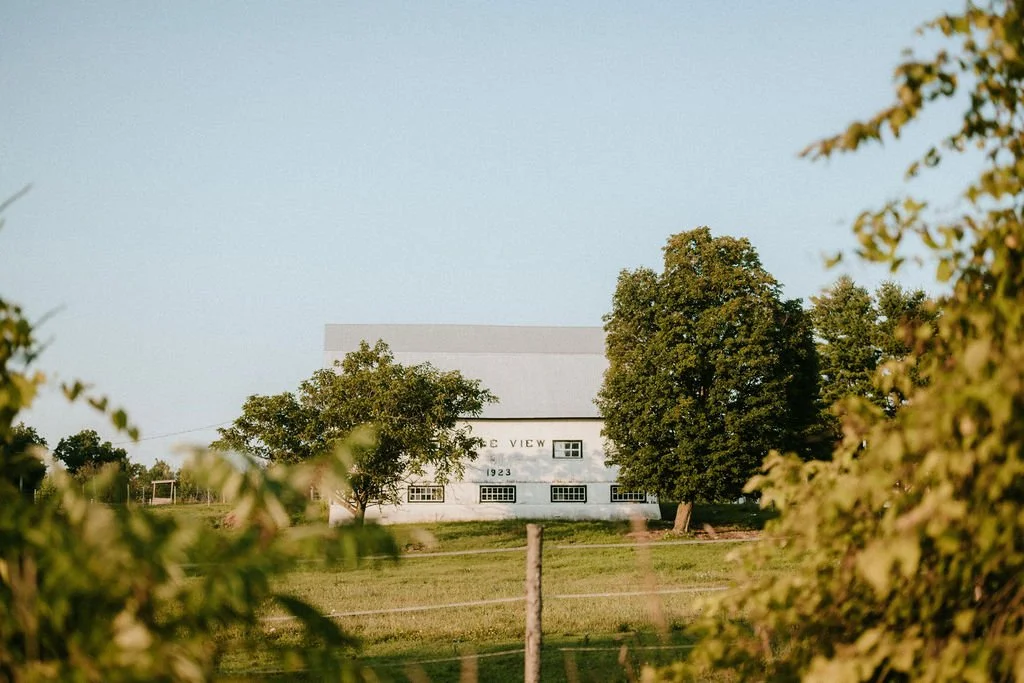 Design Meetings, Barn Chores, & Everything In Between