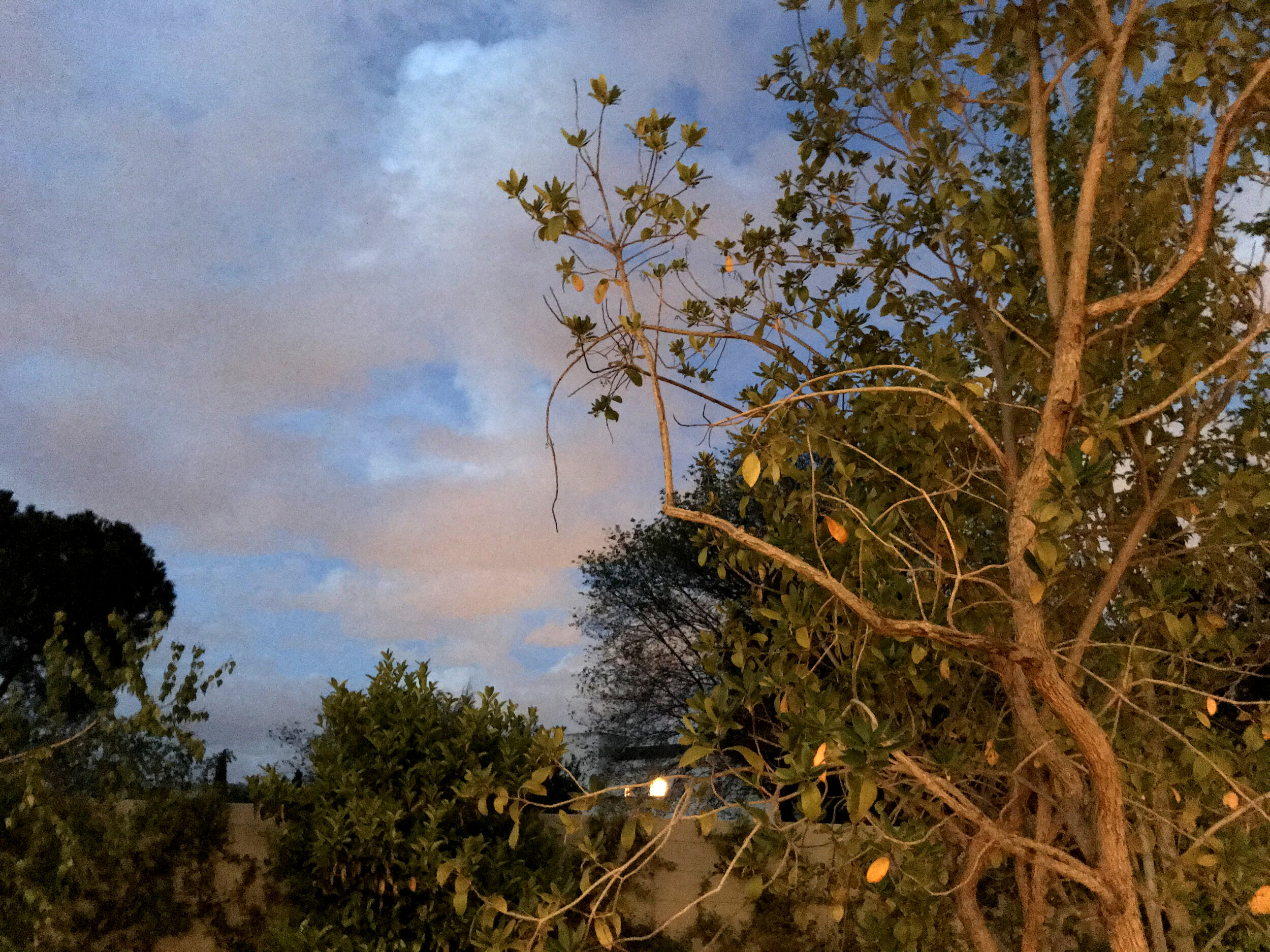 Fotos confinamiento 8.jpg