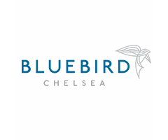 Bluebird chelsea.png