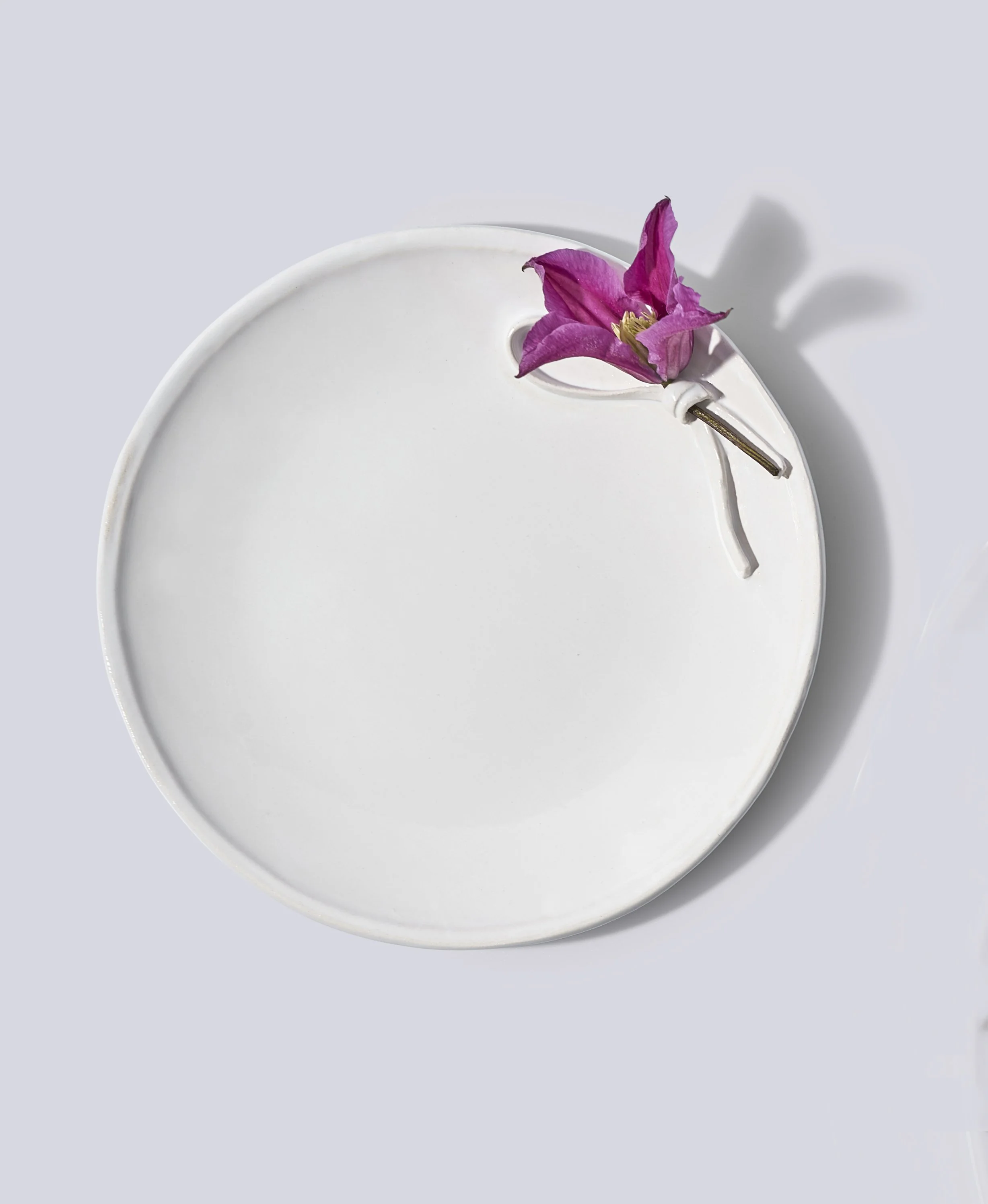 Lazo jarro plato.jpg
