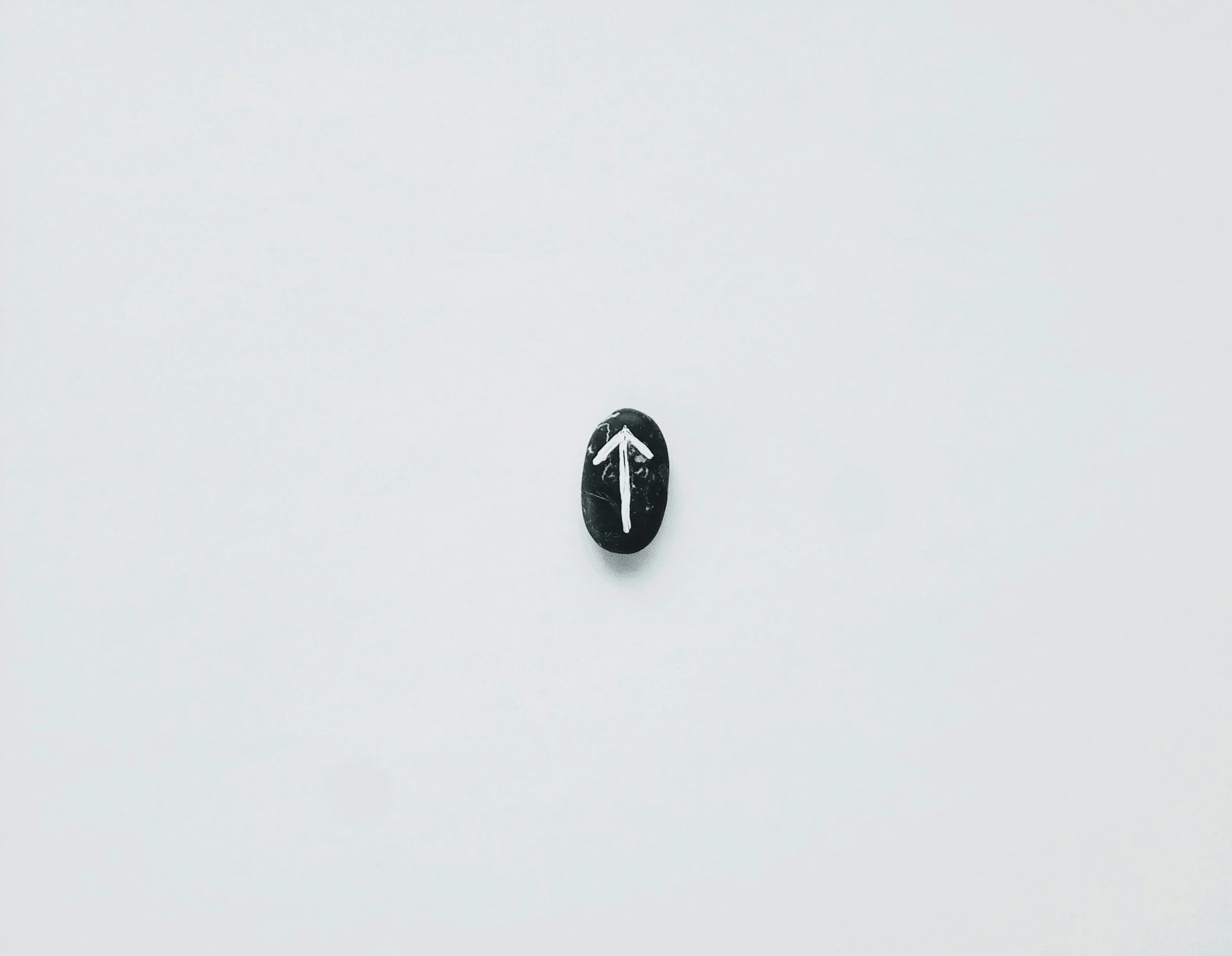 ilya-chunin-uv6WoHvLD6U-unsplash.jpg