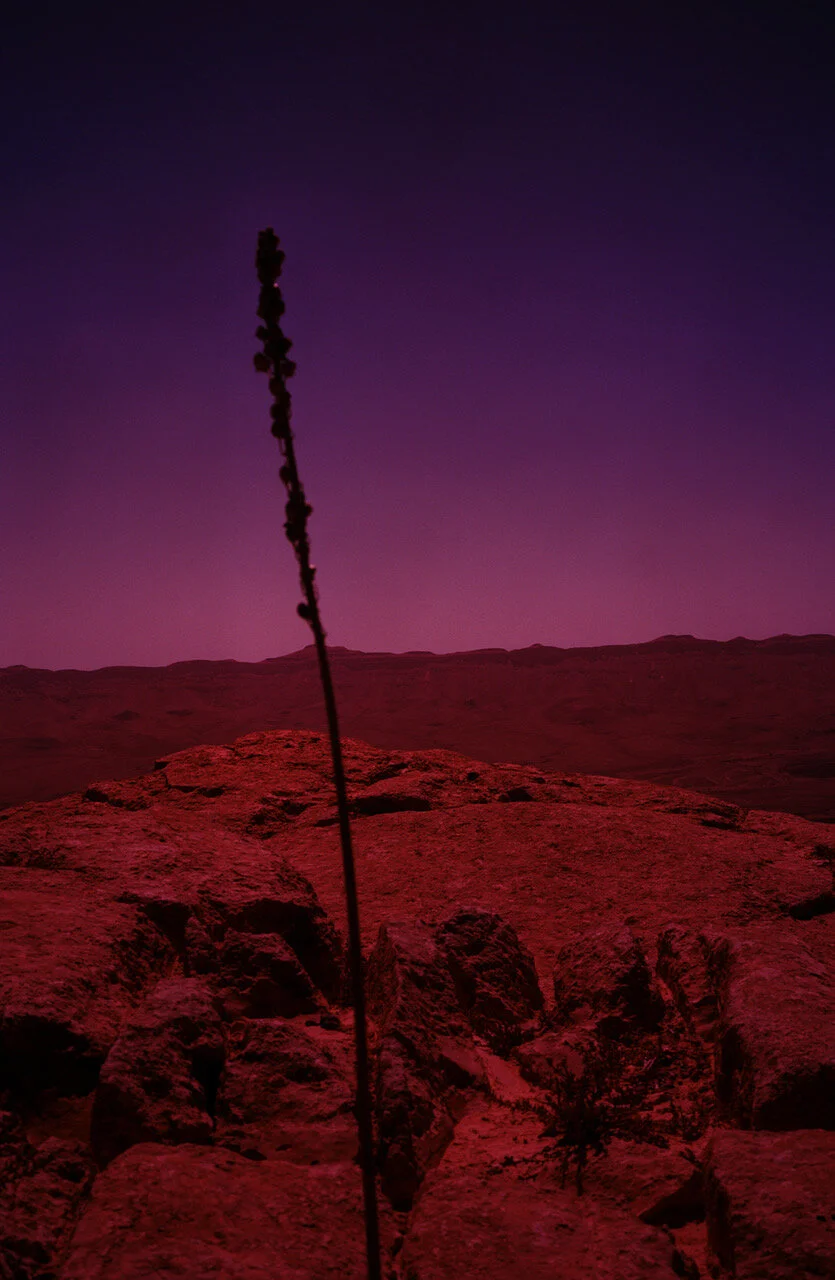 Claudio Moser – Gegen Osten 