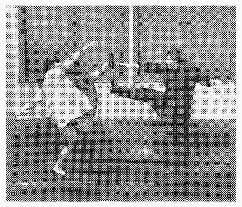 1961 [Une femme est une femme], 2023