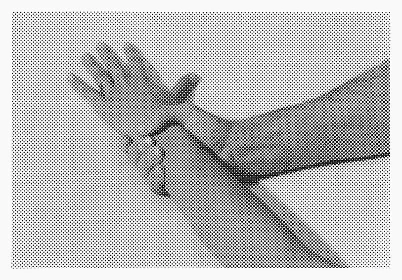 1964 [Une femme mariée] 1