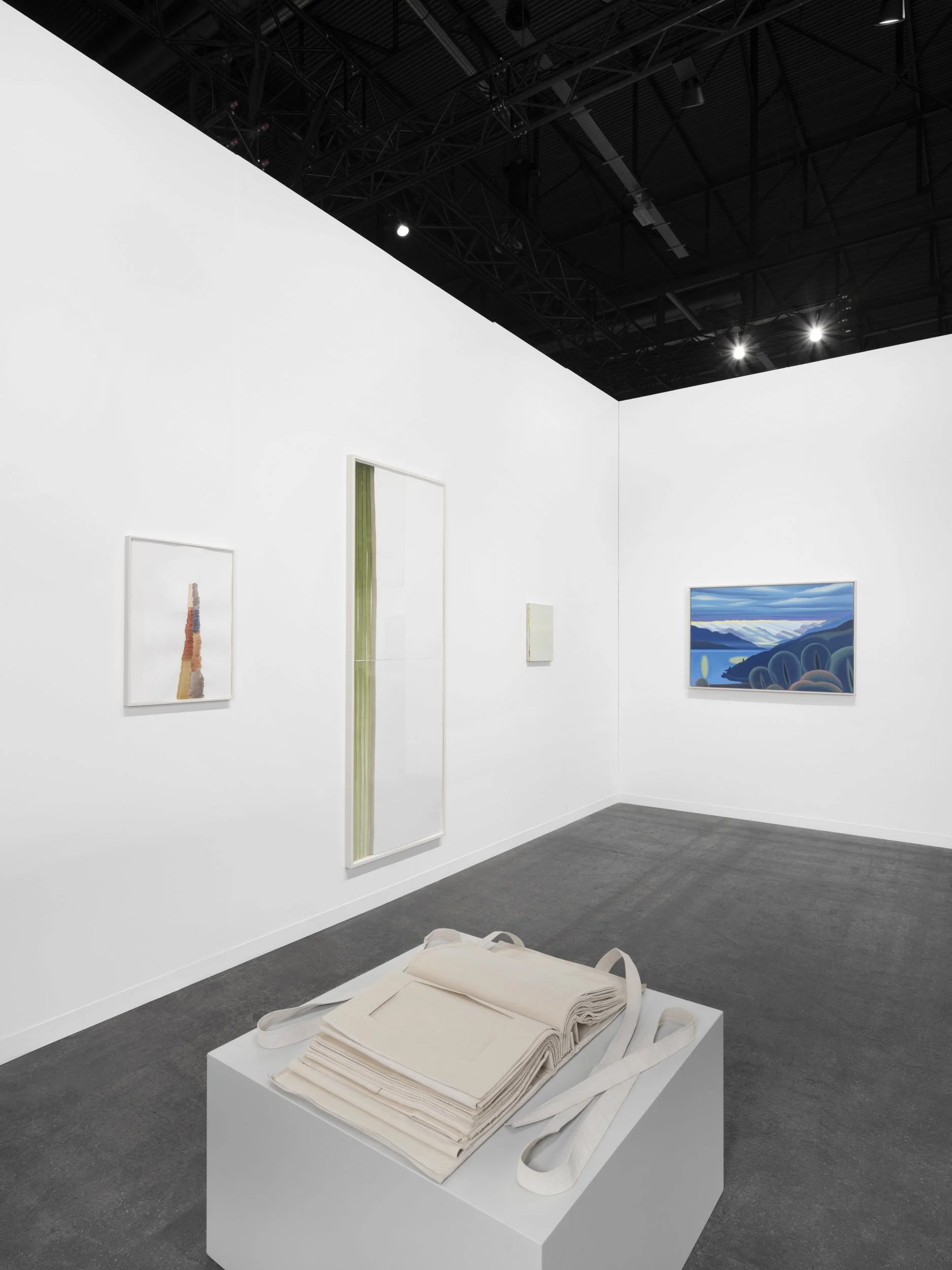 Art-Genève-Skopia-JulienGremaud-009R-web.jpg