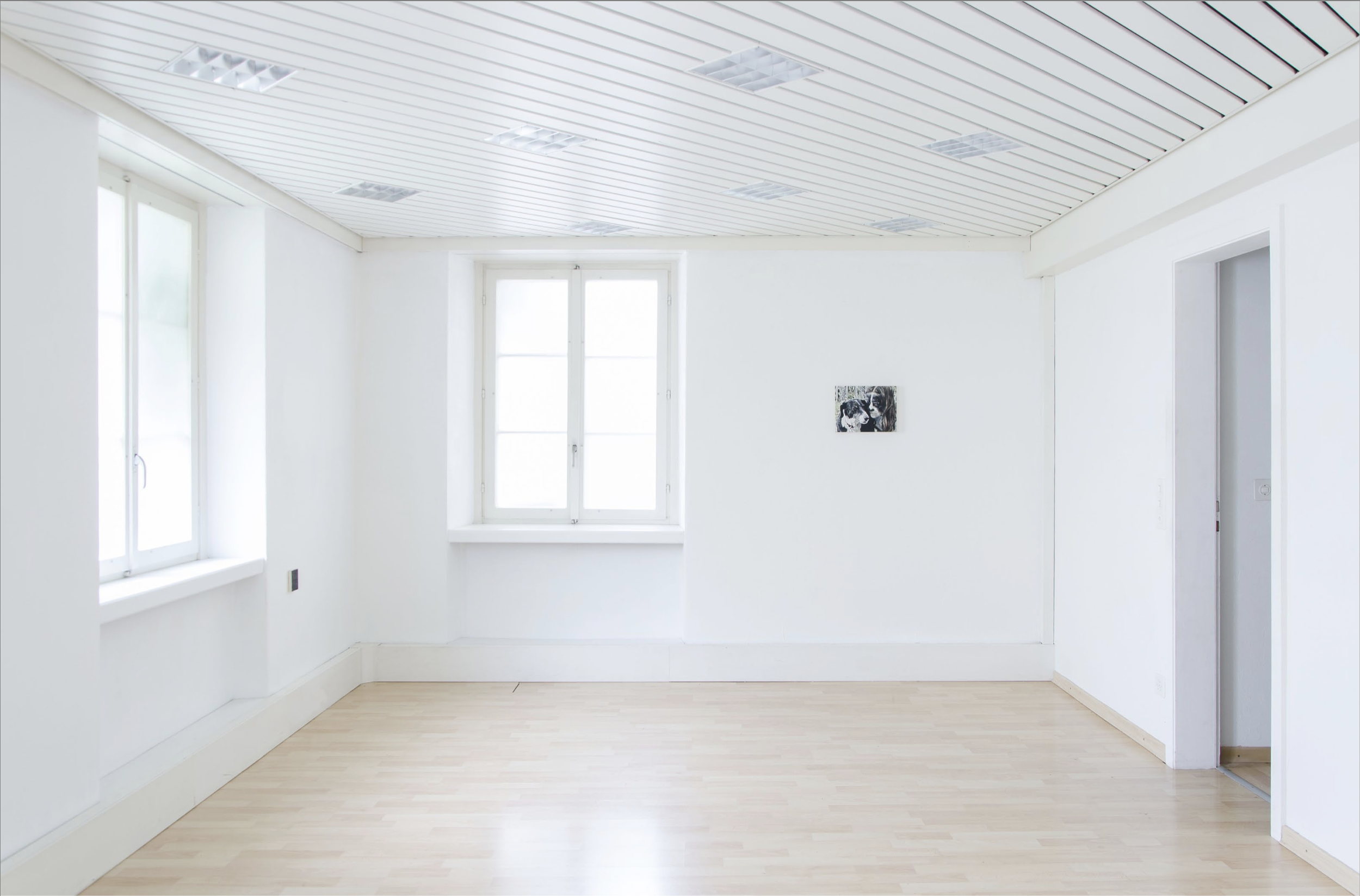 View neu.png