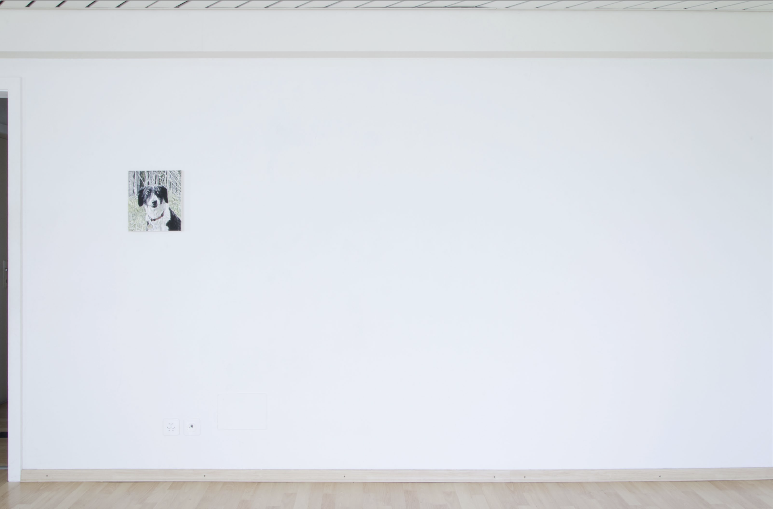 View neu3.png