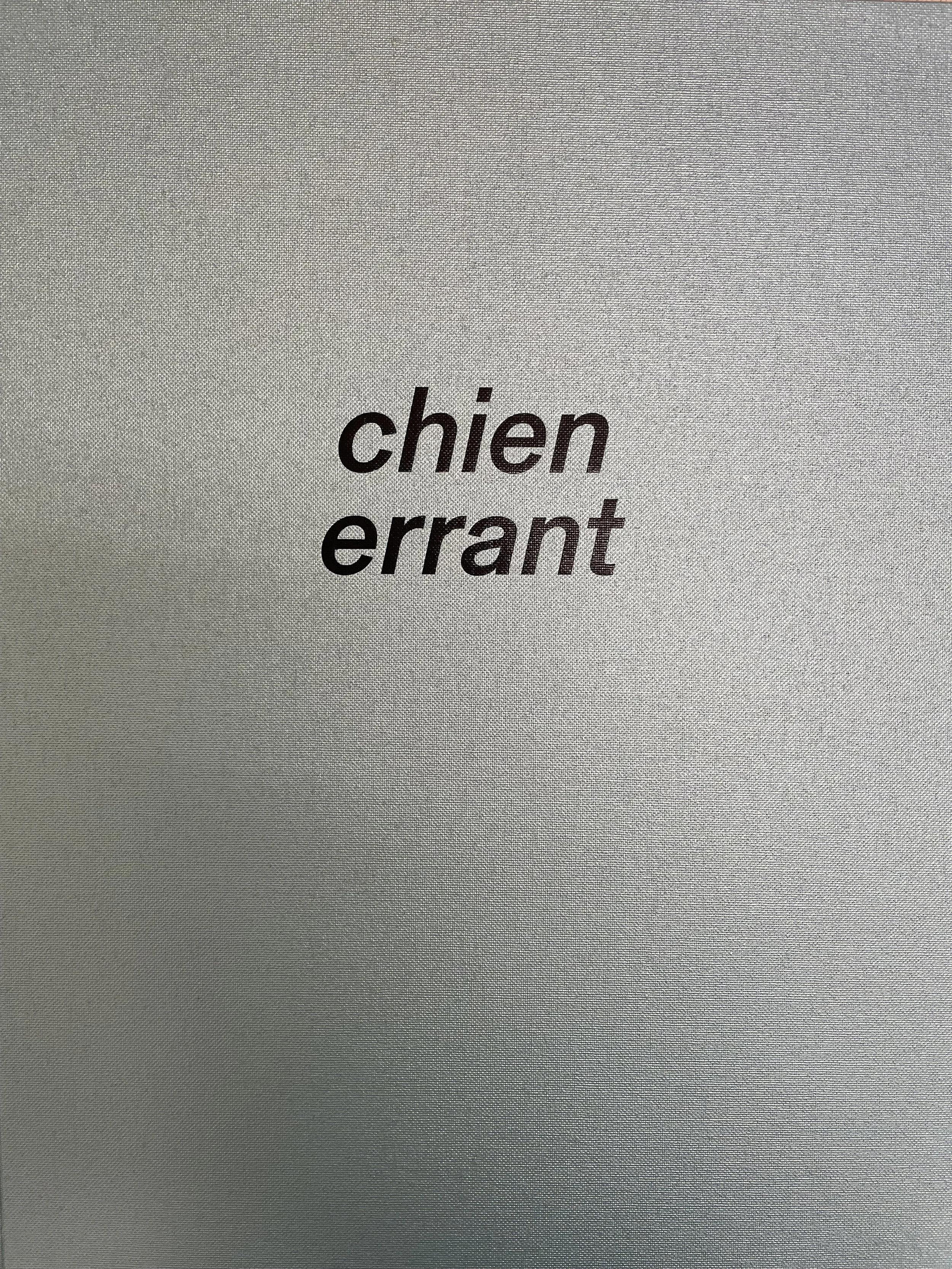 Chien errant
