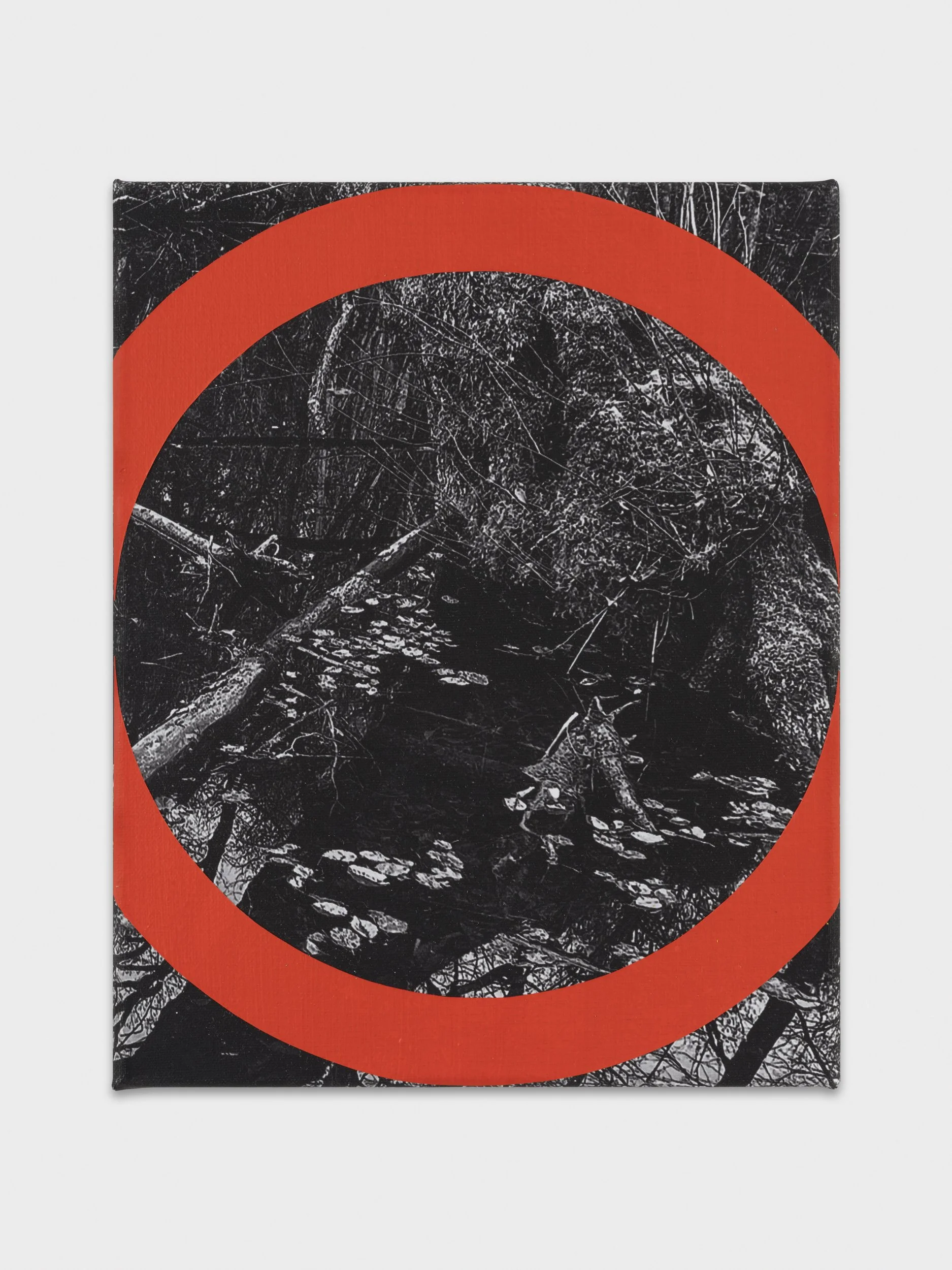 Skopia-PierreSchwerzmann-repros-101125-JulienGremaud-034R-web.jpg