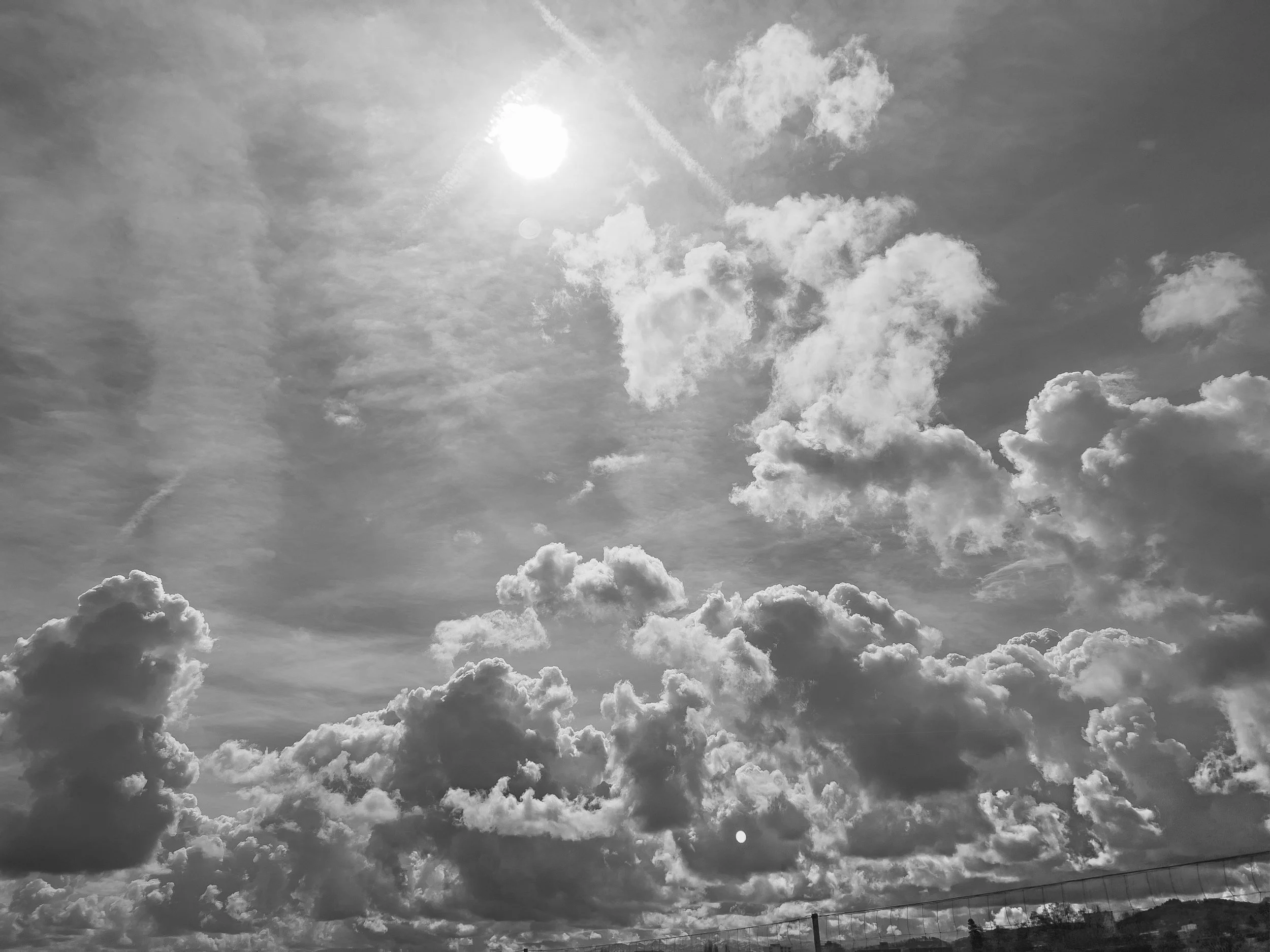 Alex Hanimann - Human Nature, Museo Villa dei Cedri