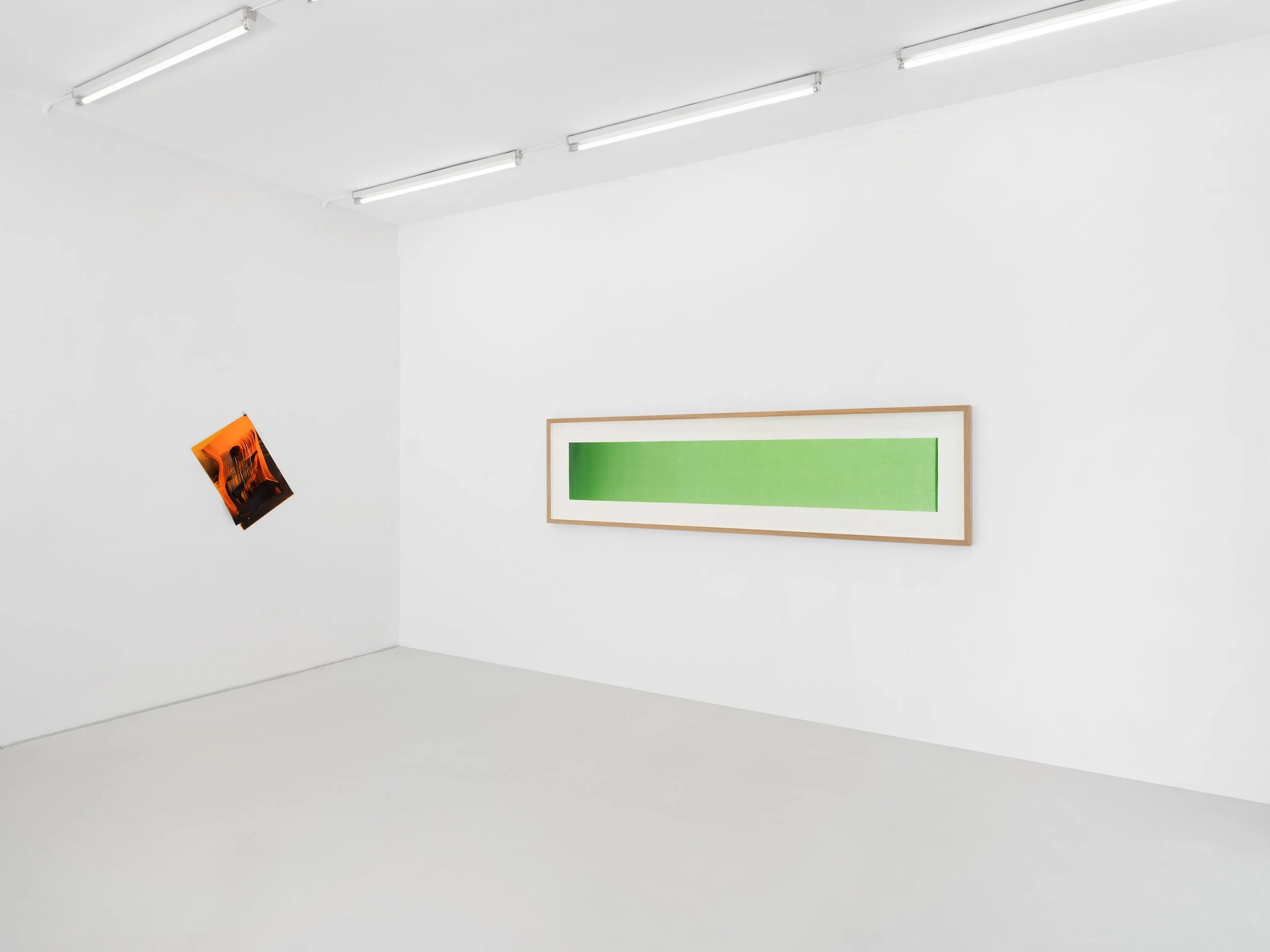 Skopia-Naturæ-expo- JulienGremaud-014R-web.jpg