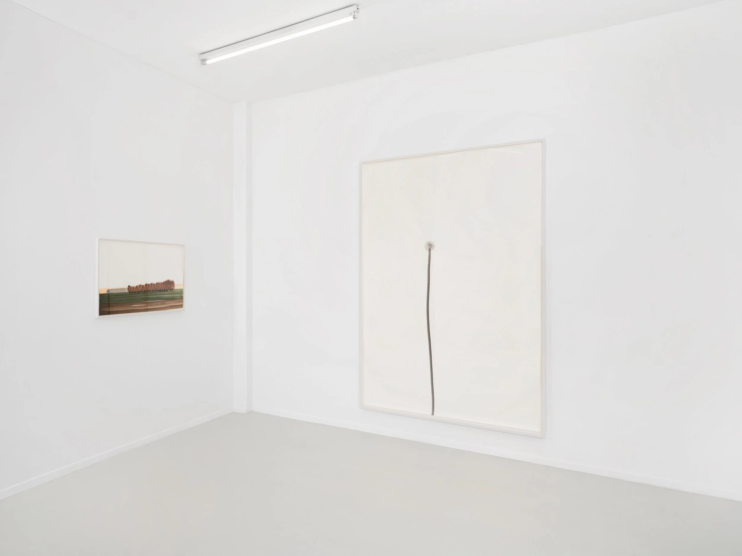 Skopia-Naturæ-expo- JulienGremaud-039R-web.jpg