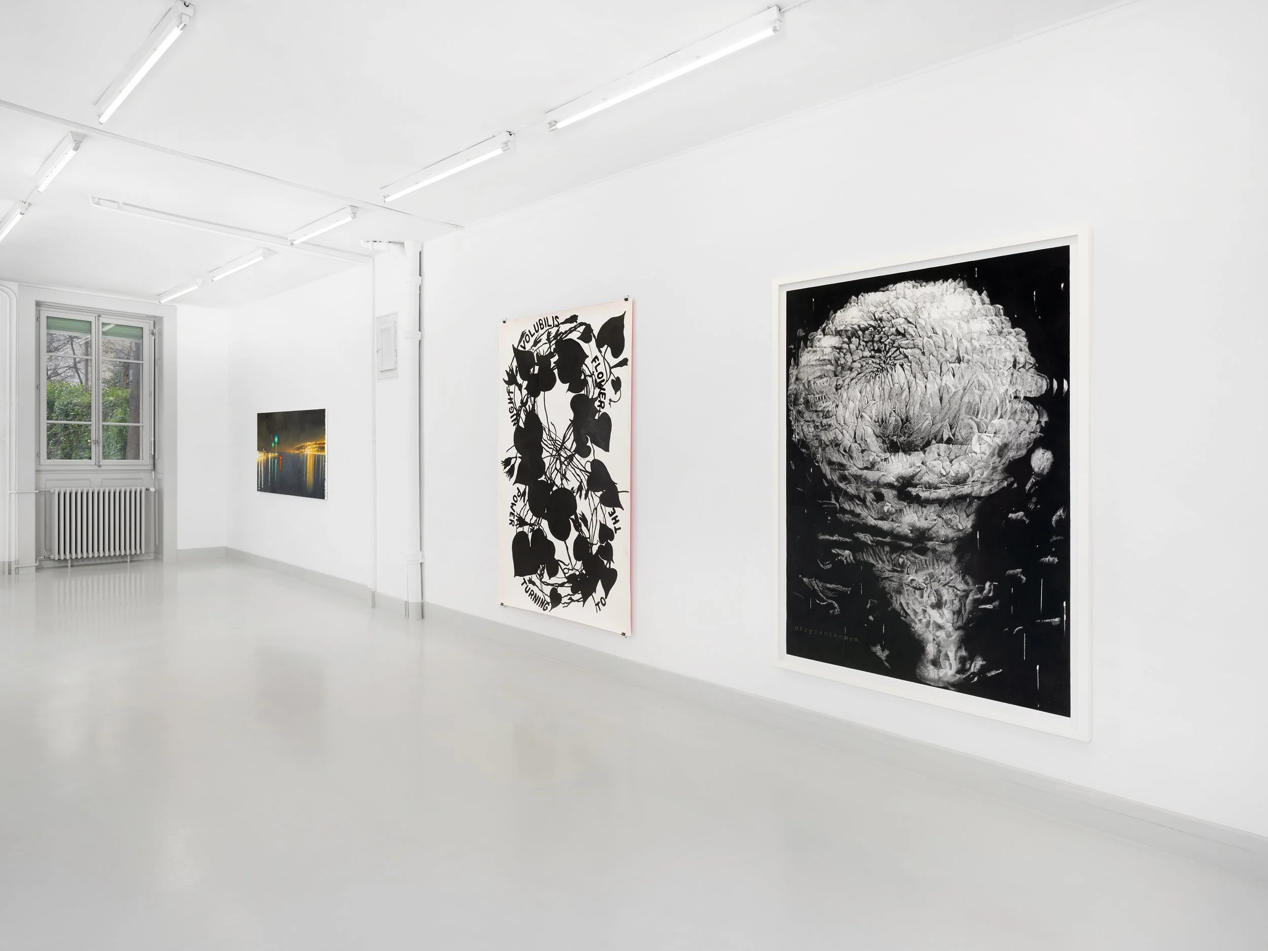 Skopia-Naturæ-expo- JulienGremaud-045R-web.jpg