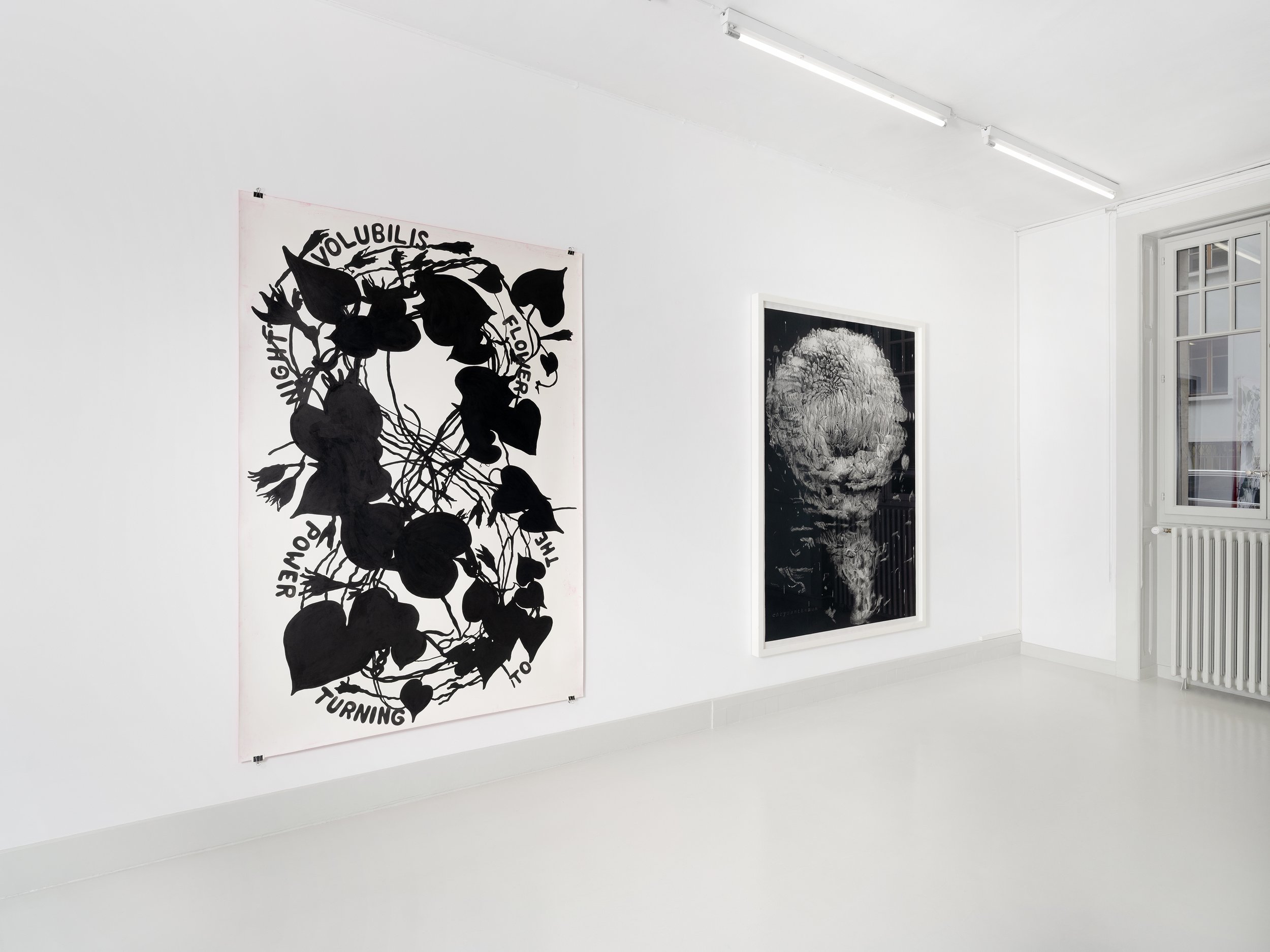 Skopia-Naturæ-expo- JulienGremaud-060R-web.jpg