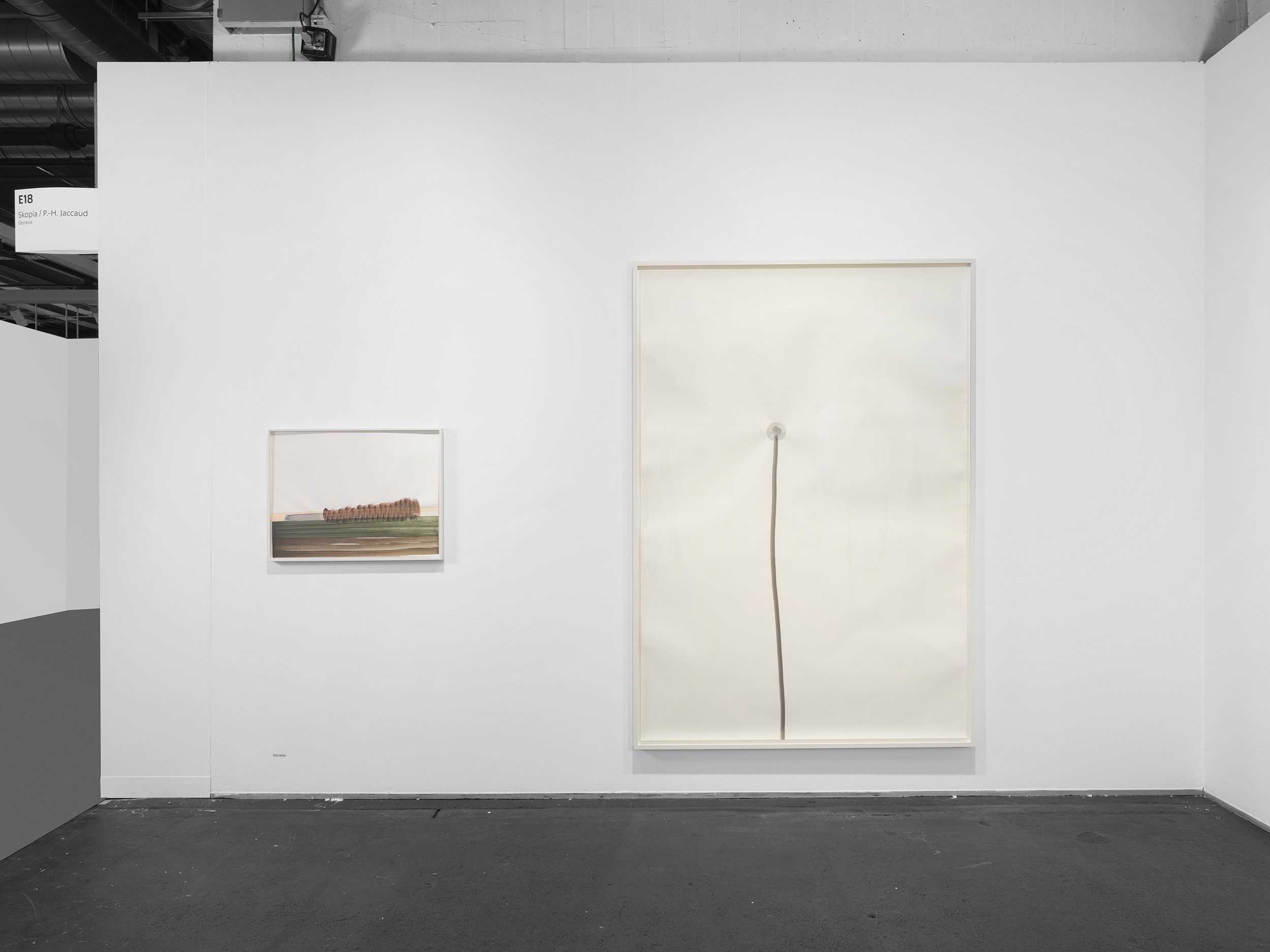 ArtBasel-Skopia-150626-JulienGremaud-006-web.jpg