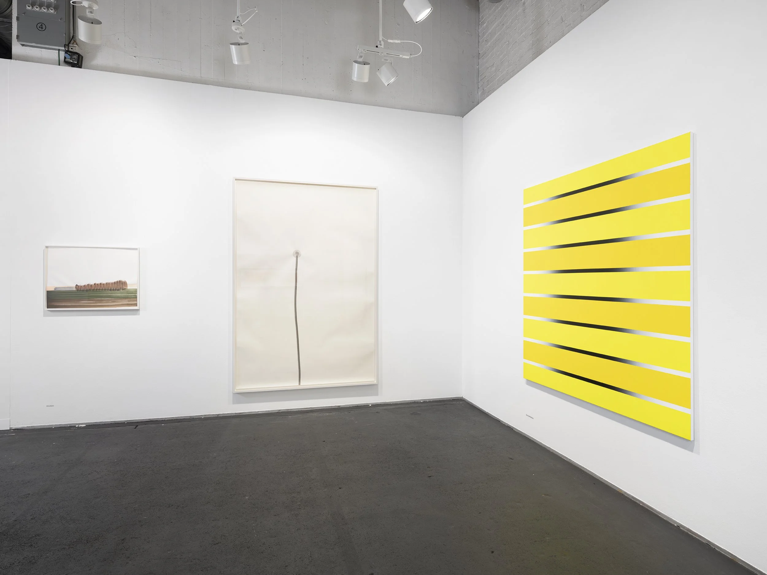 ArtBasel-Skopia-150626-JulienGremaud-007-web.jpg