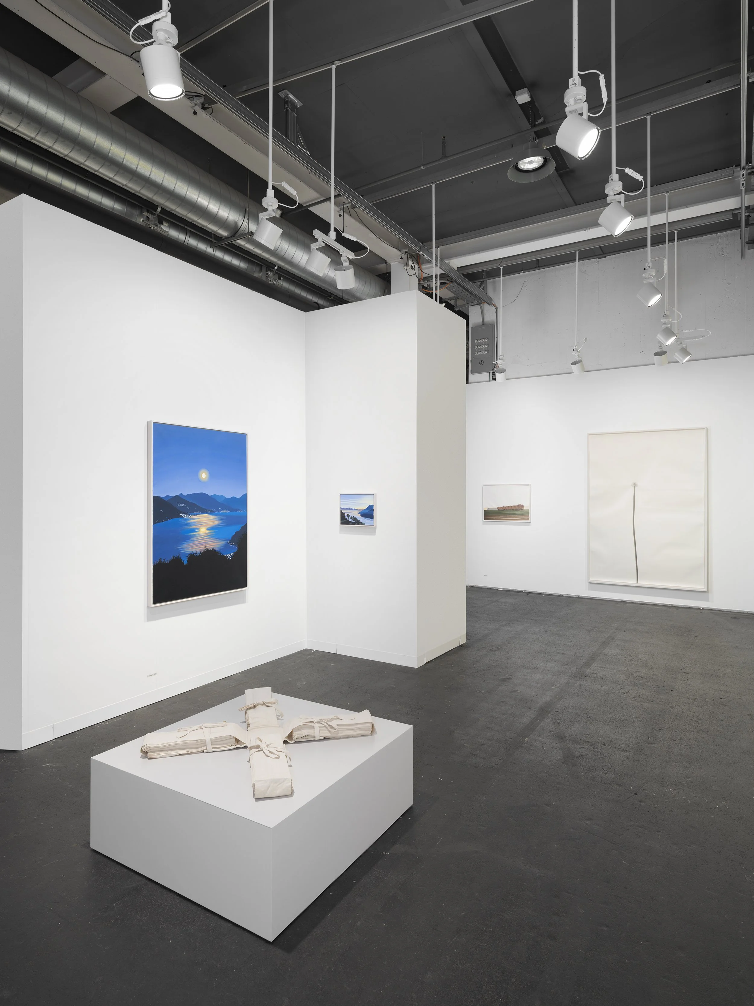 ArtBasel-Skopia-150626-JulienGremaud-009-web.jpg