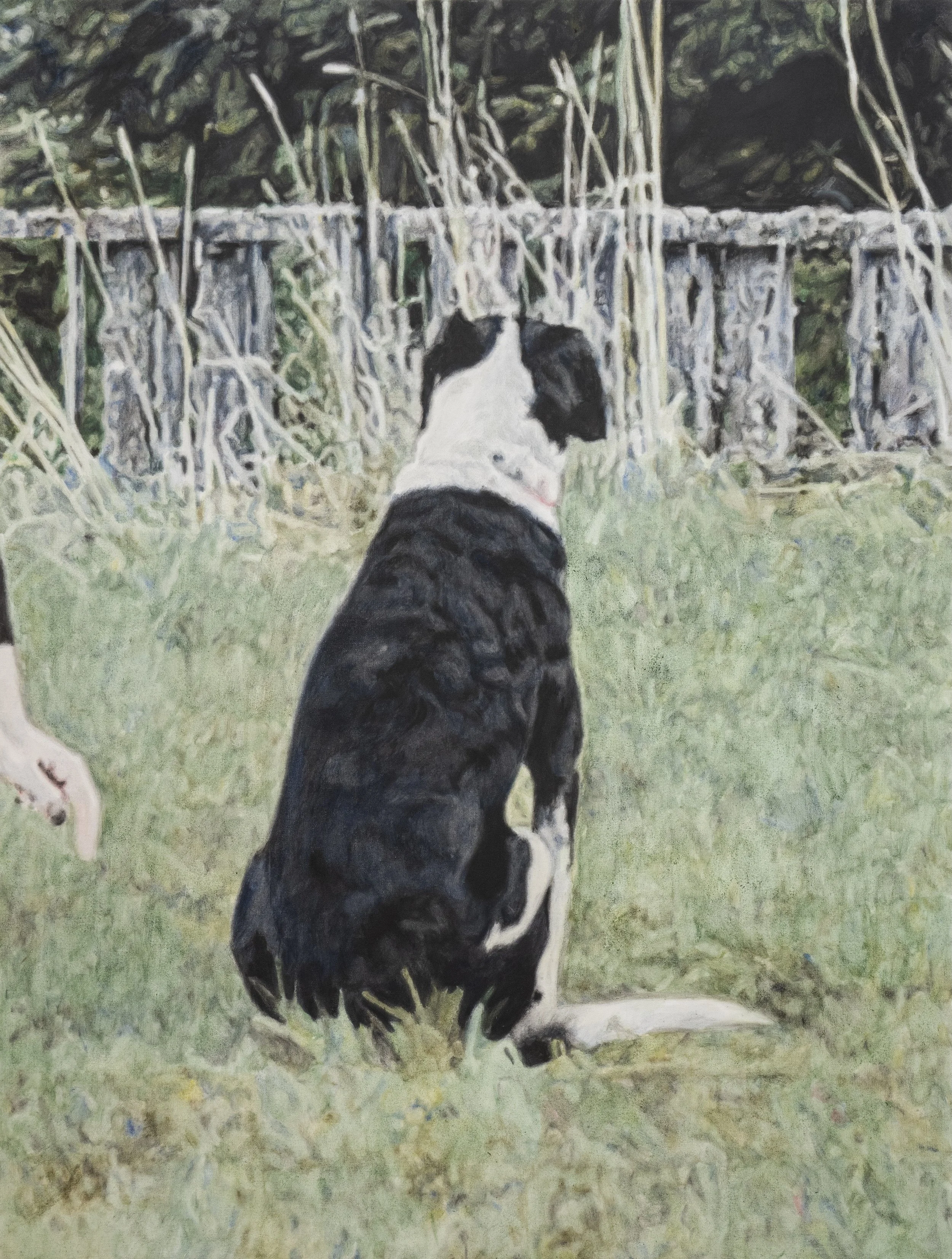 Leanne Picthall – Meaning So Well – Museum Franz Gertsch