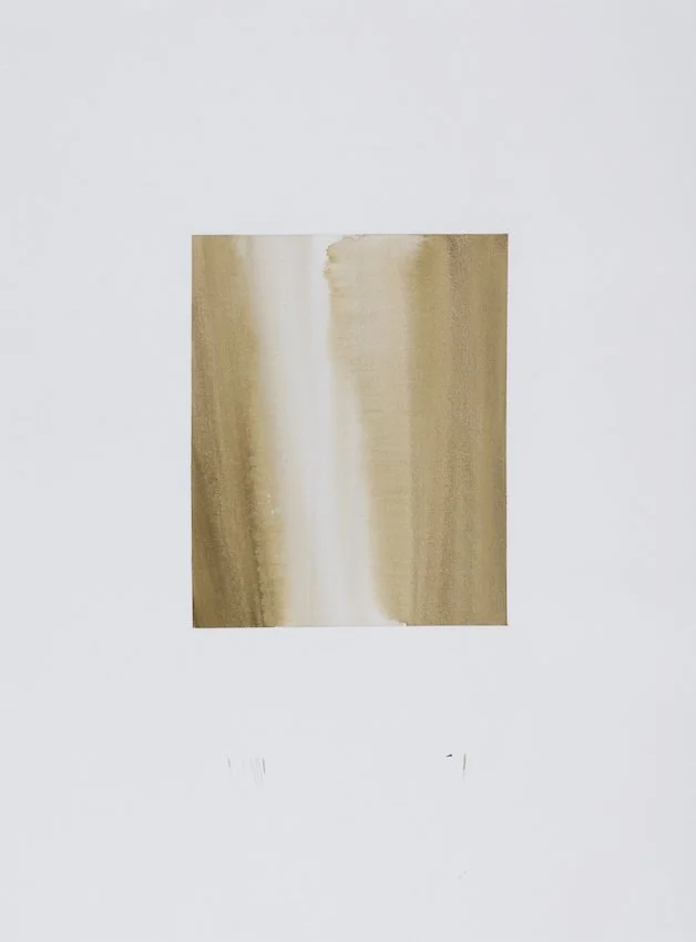 LdlT, 1998