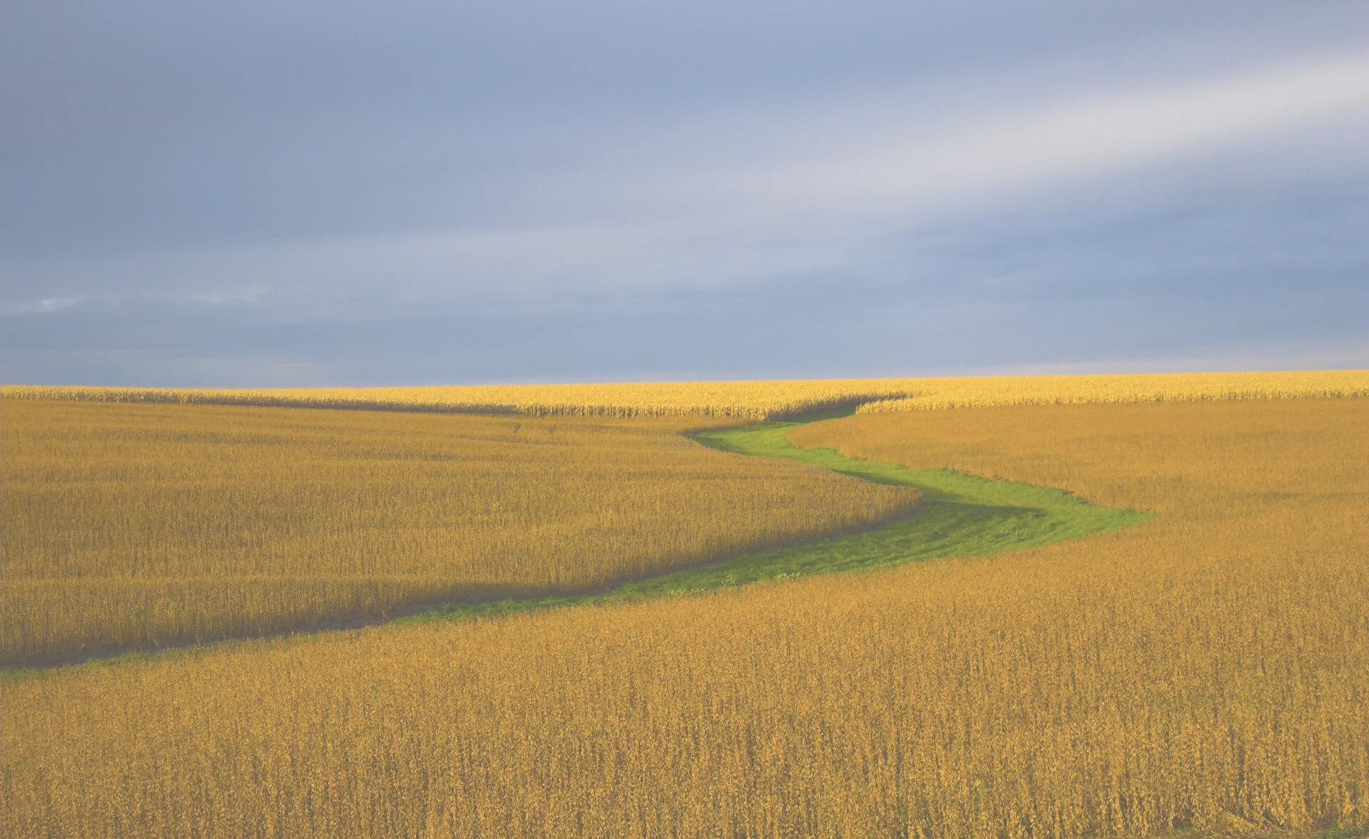 iStock-94741476.jpg