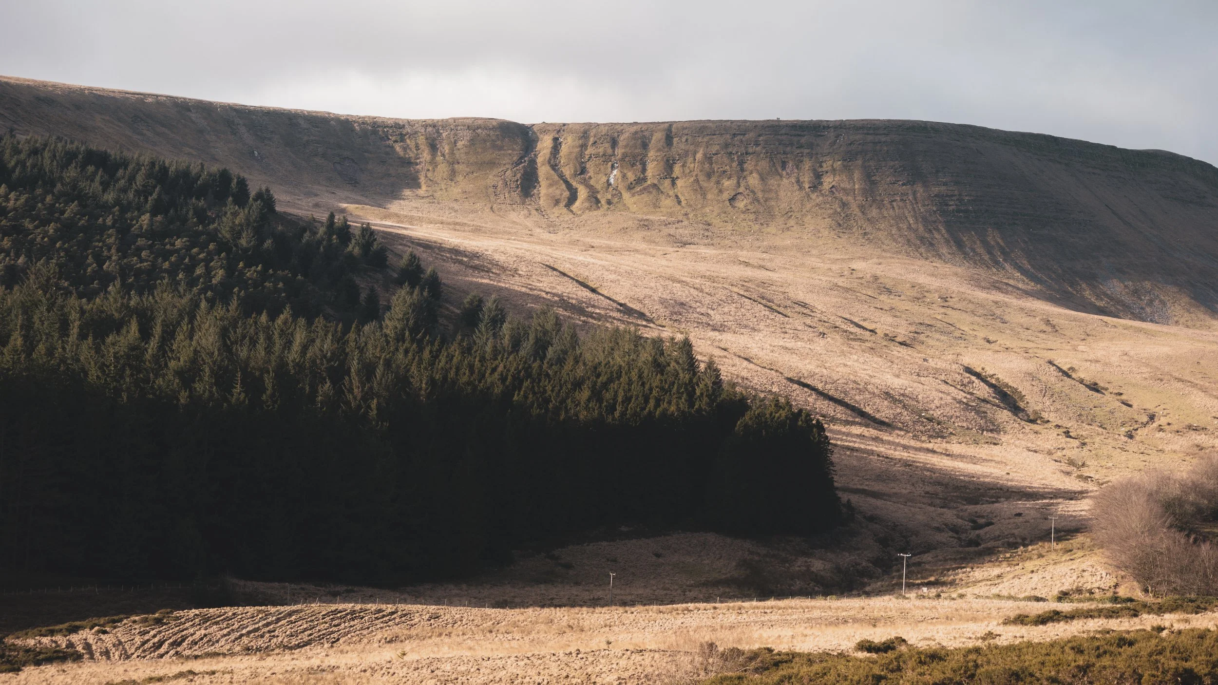 Landscape with a mountain slope, sparse vegetation, and a dense forest at the base, under a partly cloudy sky.