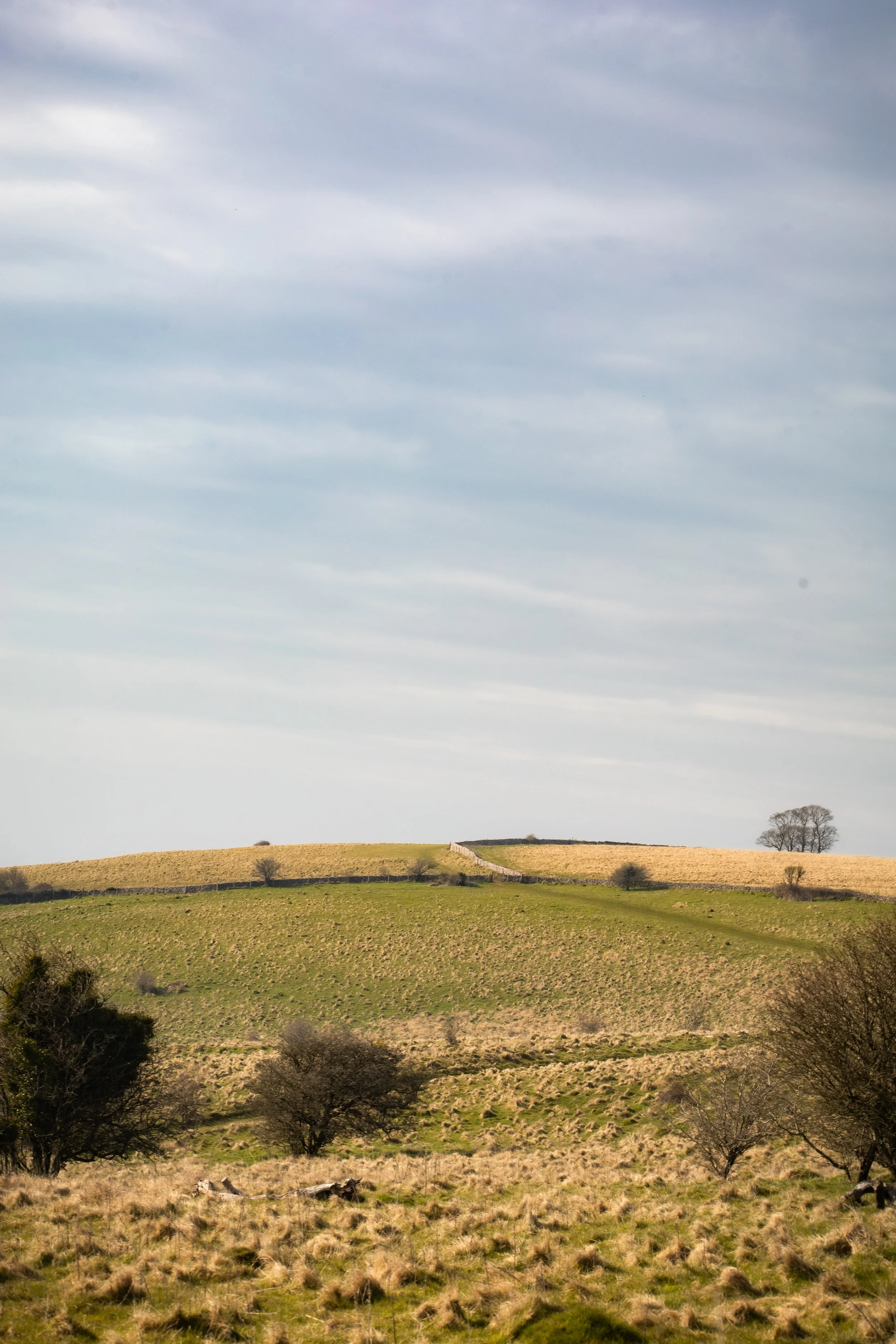 A landscape of grassy hills with sparse trees under a cloudy sky.