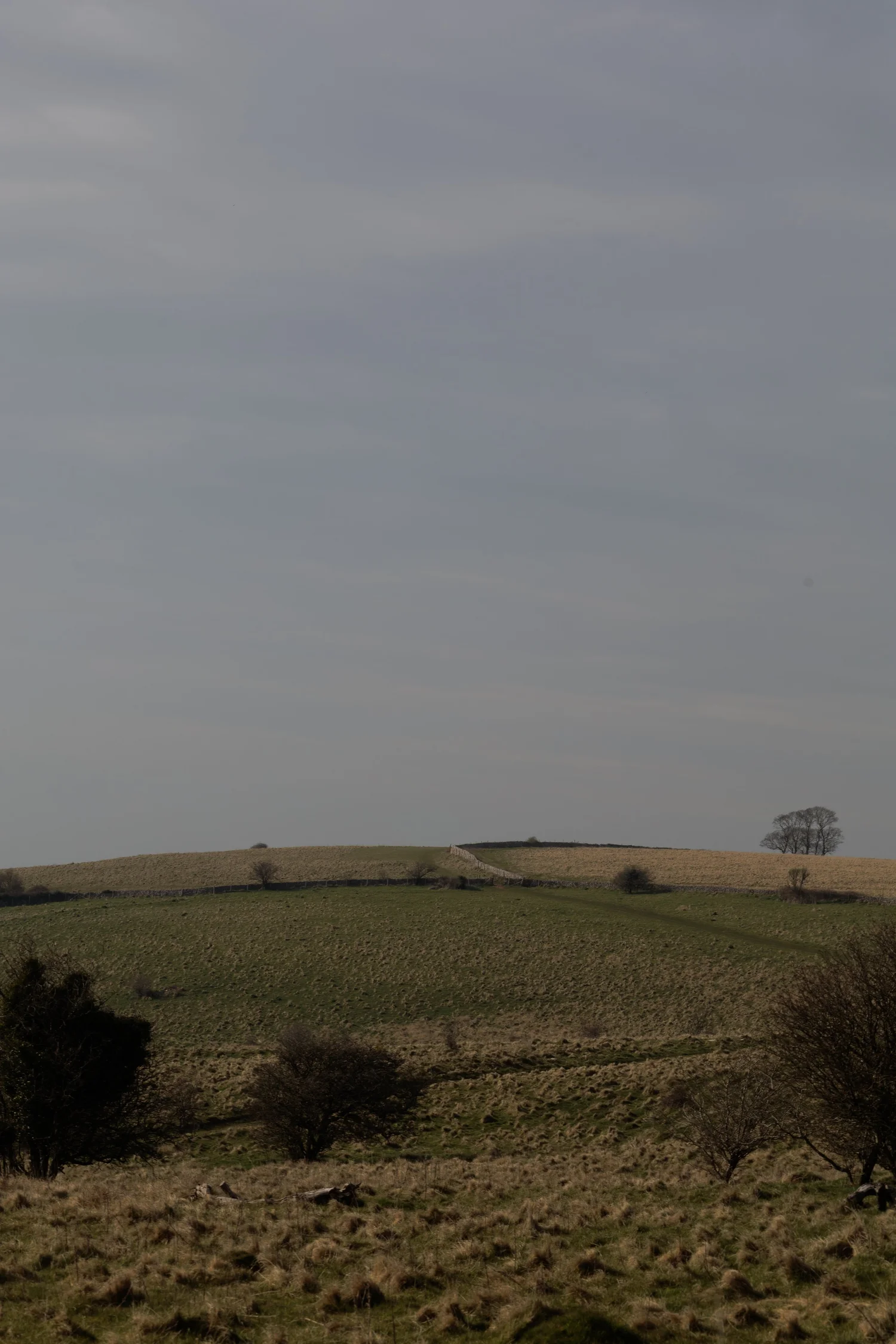 Countryside landscape RAW photograph